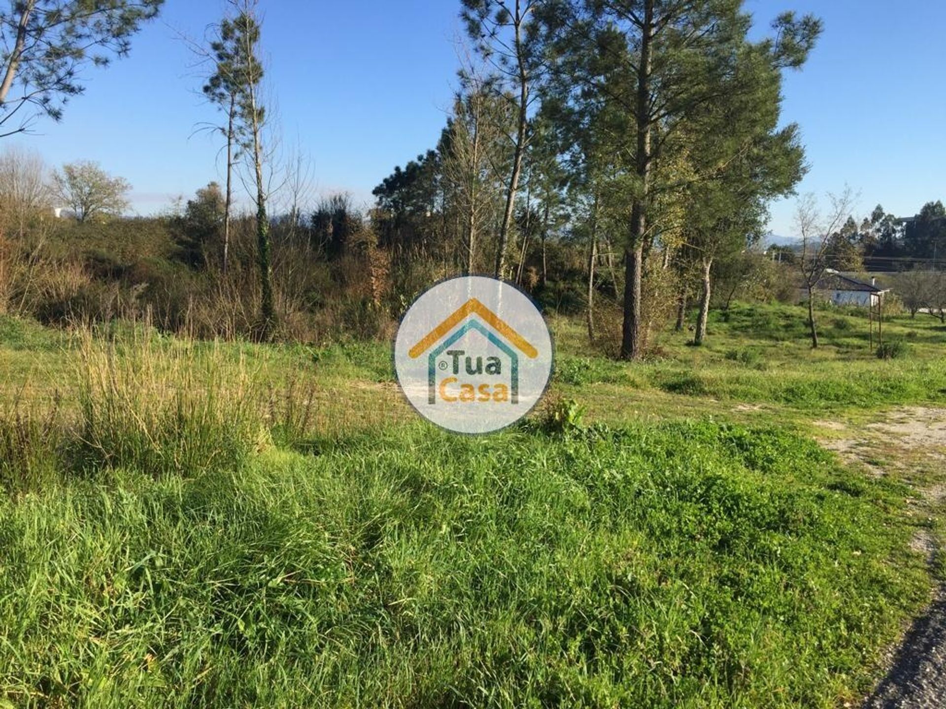 Land in Soure, Coimbra District 12074353