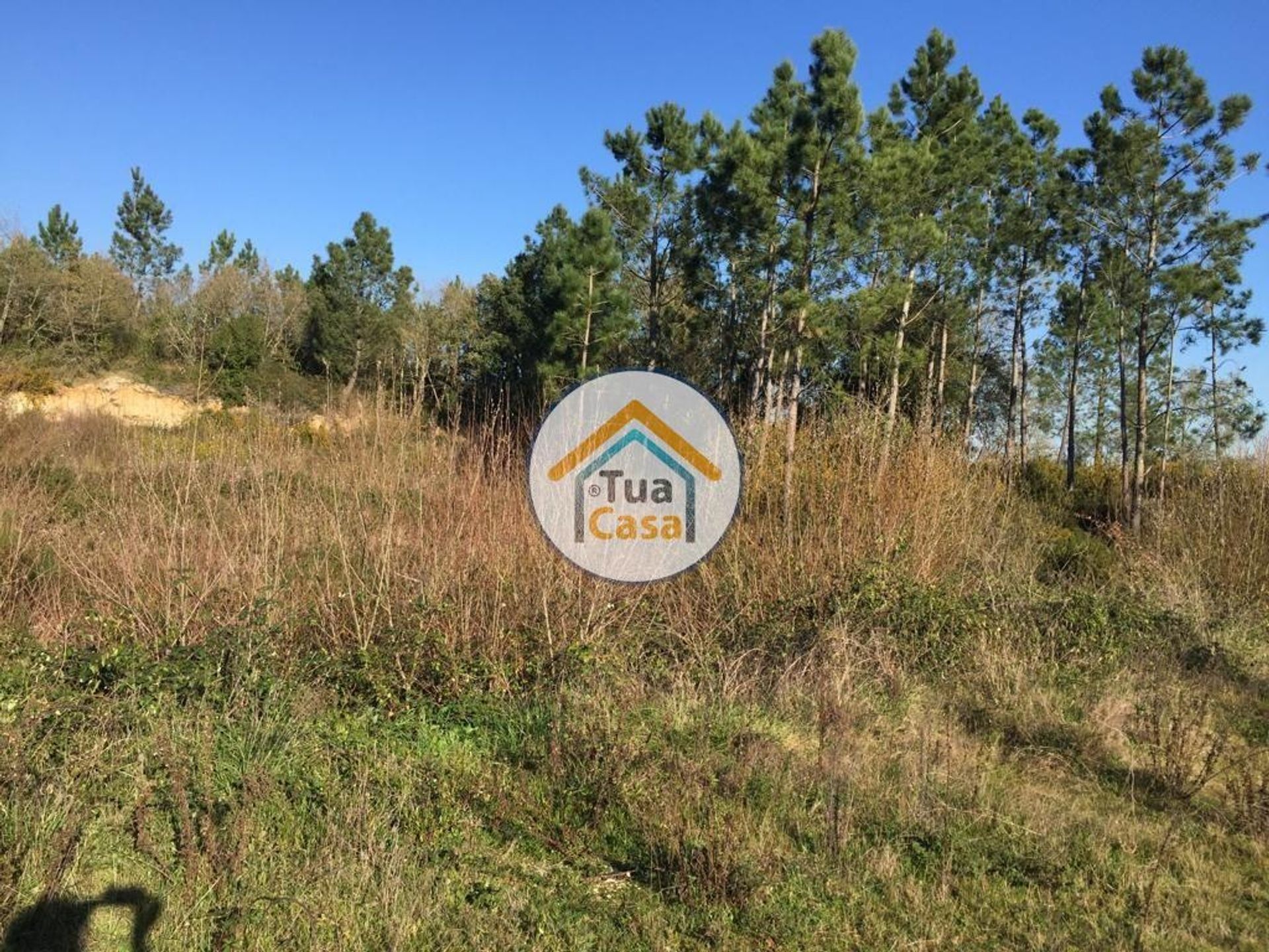 Land in Soure, Coimbra District 12074353