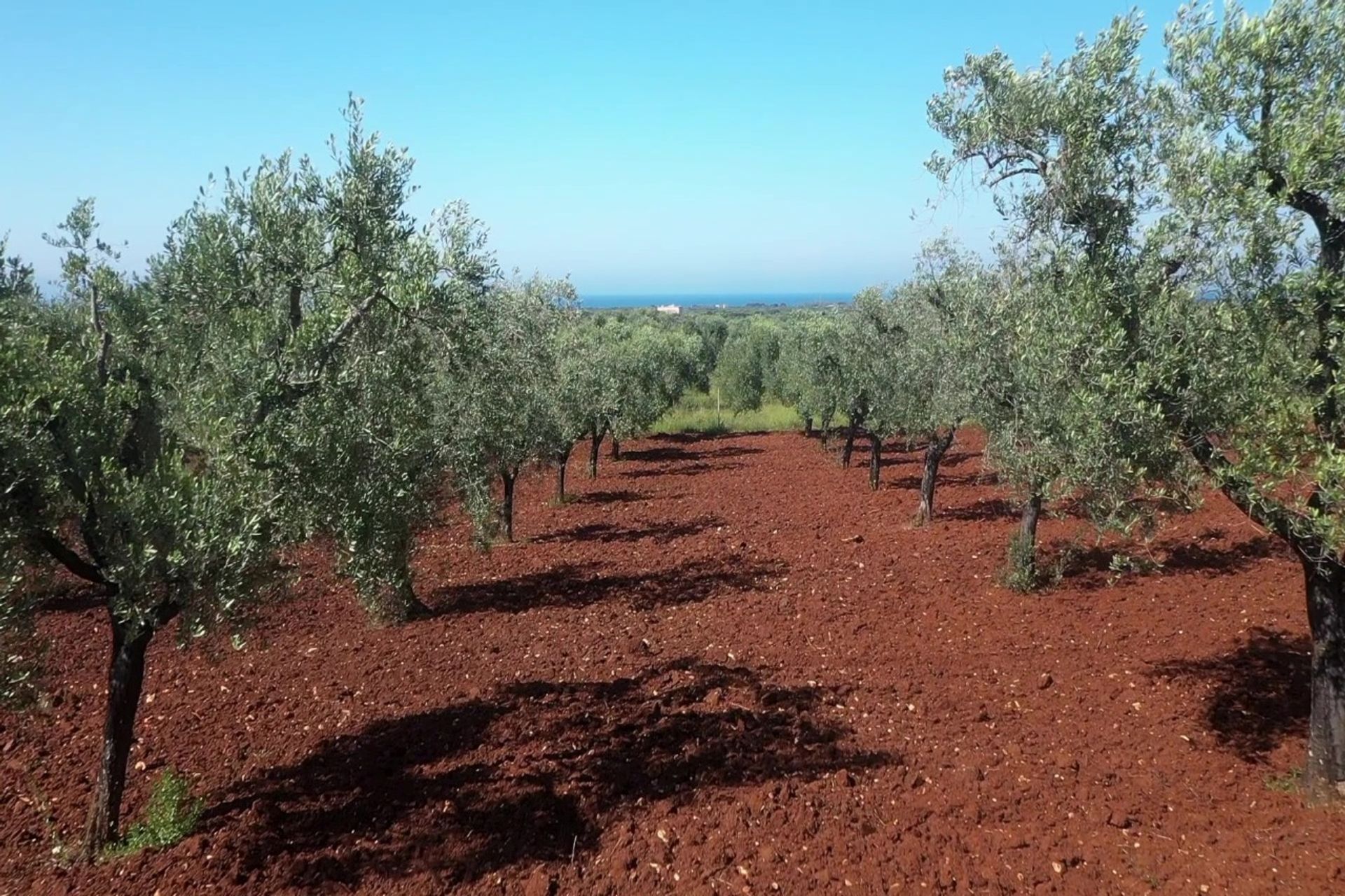 Tanah di , Puglia 12077075