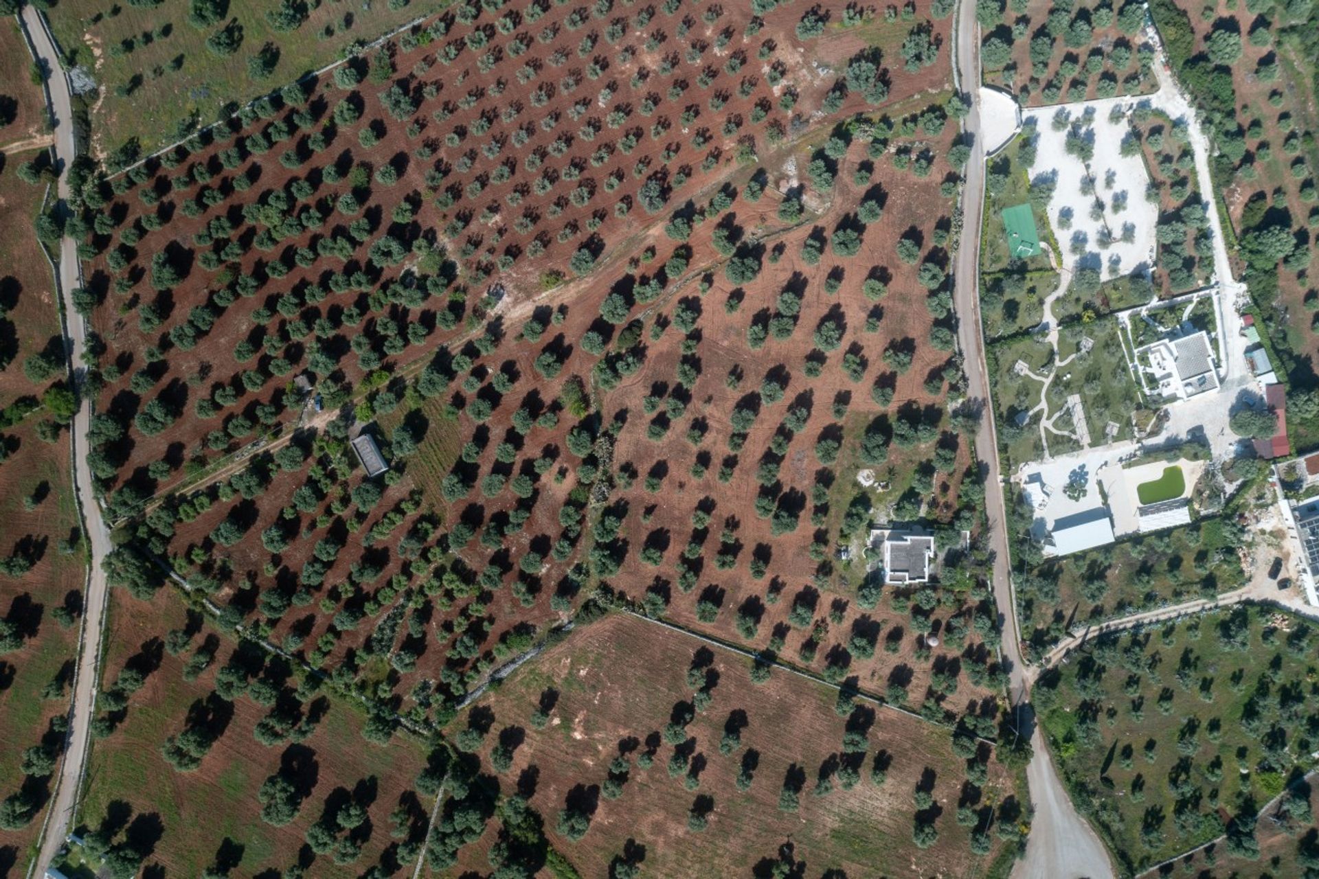 Terre dans Ostuni, Pouilles 12077075