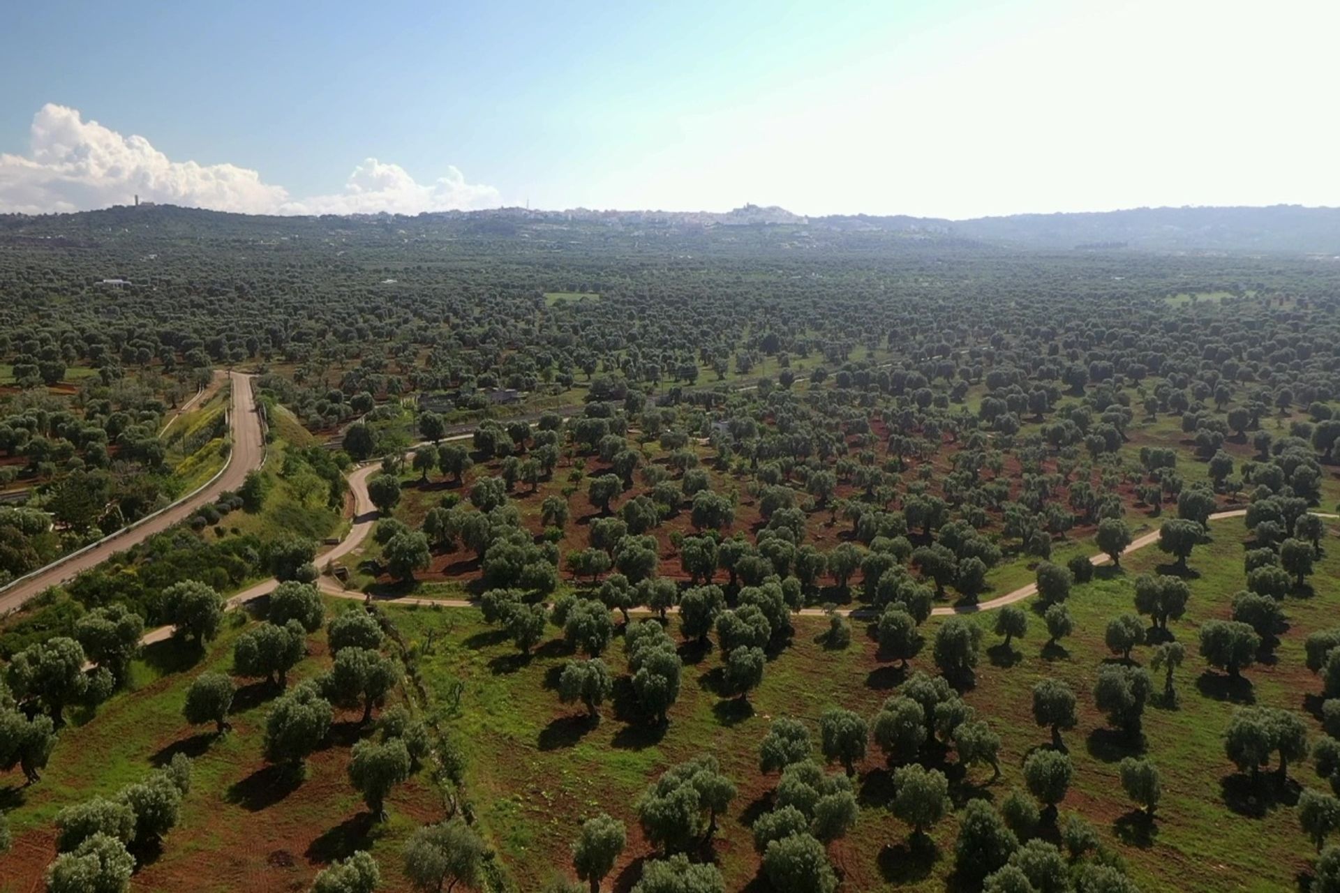 Terre dans Ostuni, Pouilles 12077075