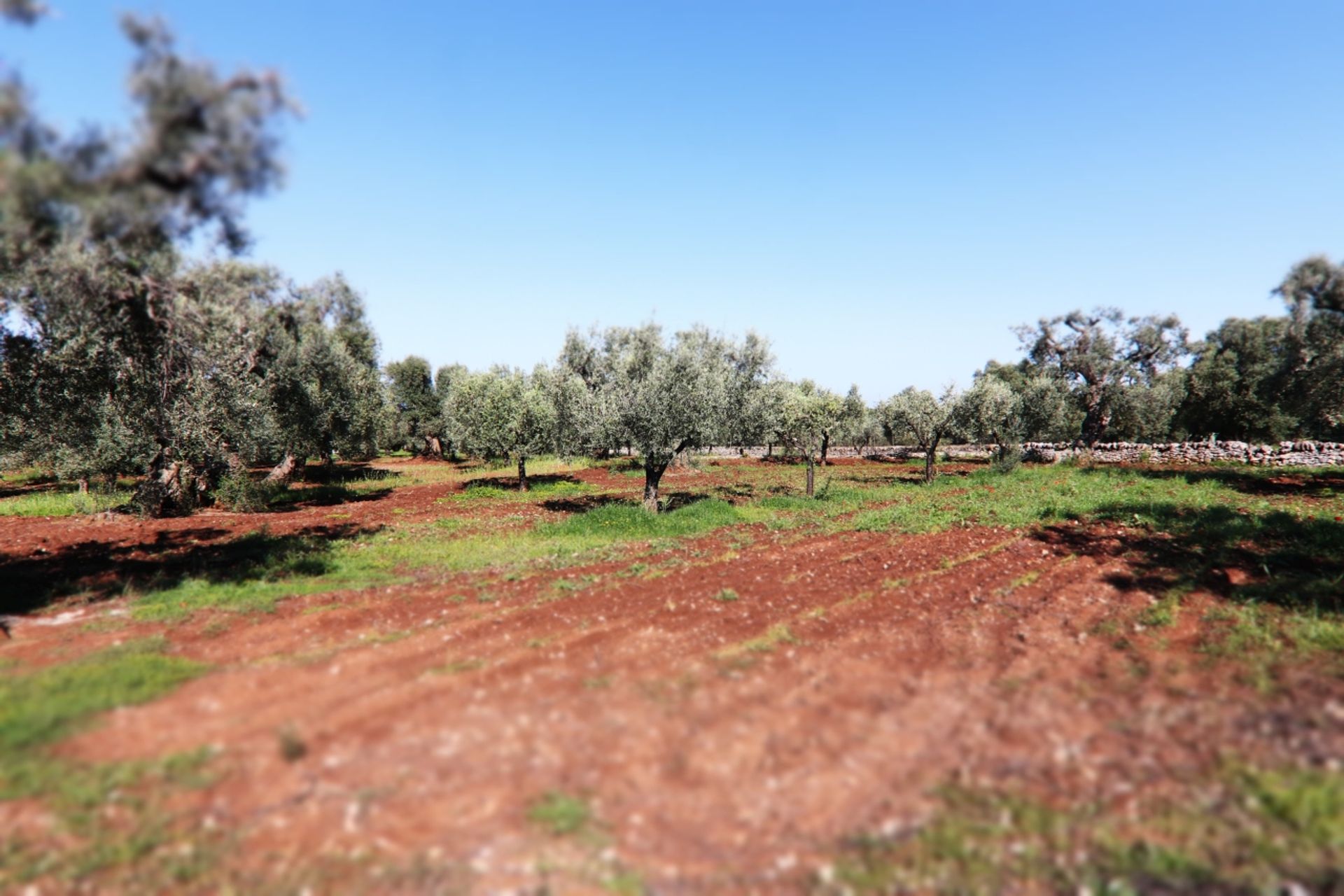 Tanah di , Puglia 12077075