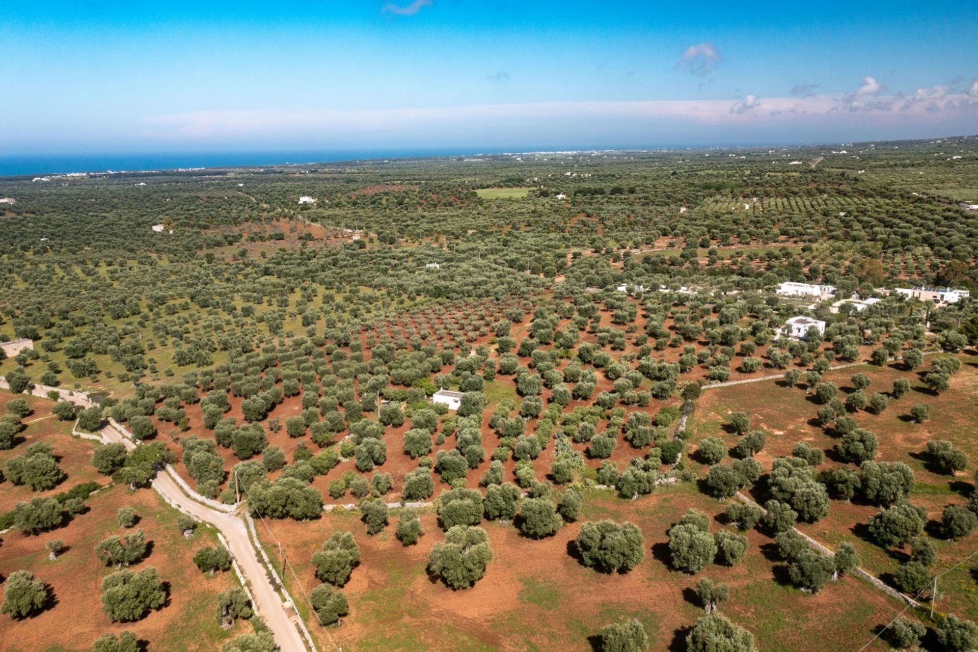 Maa sisään Ostuni, Puglia 12077075