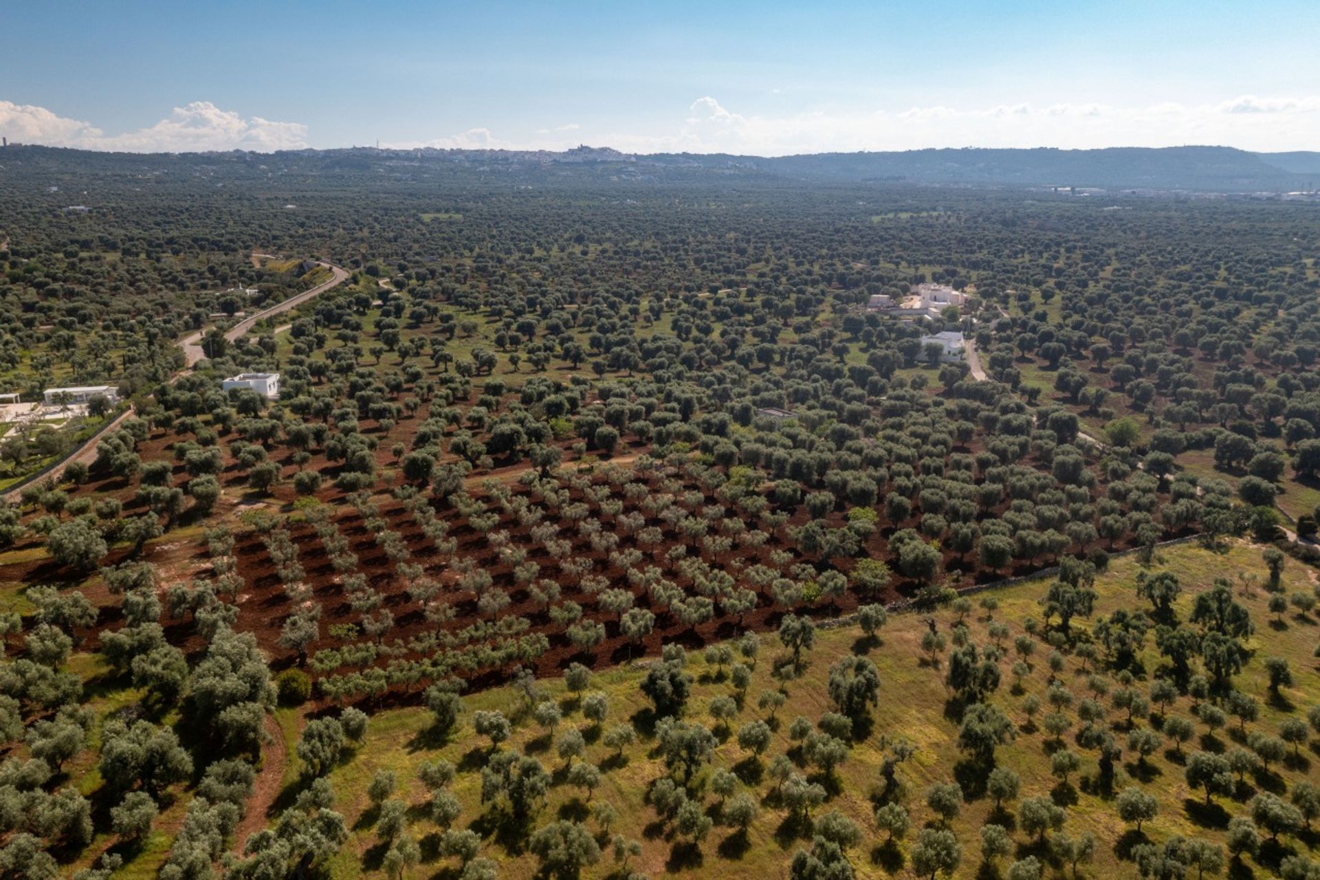 Terre dans Ostuni, Pouilles 12077075