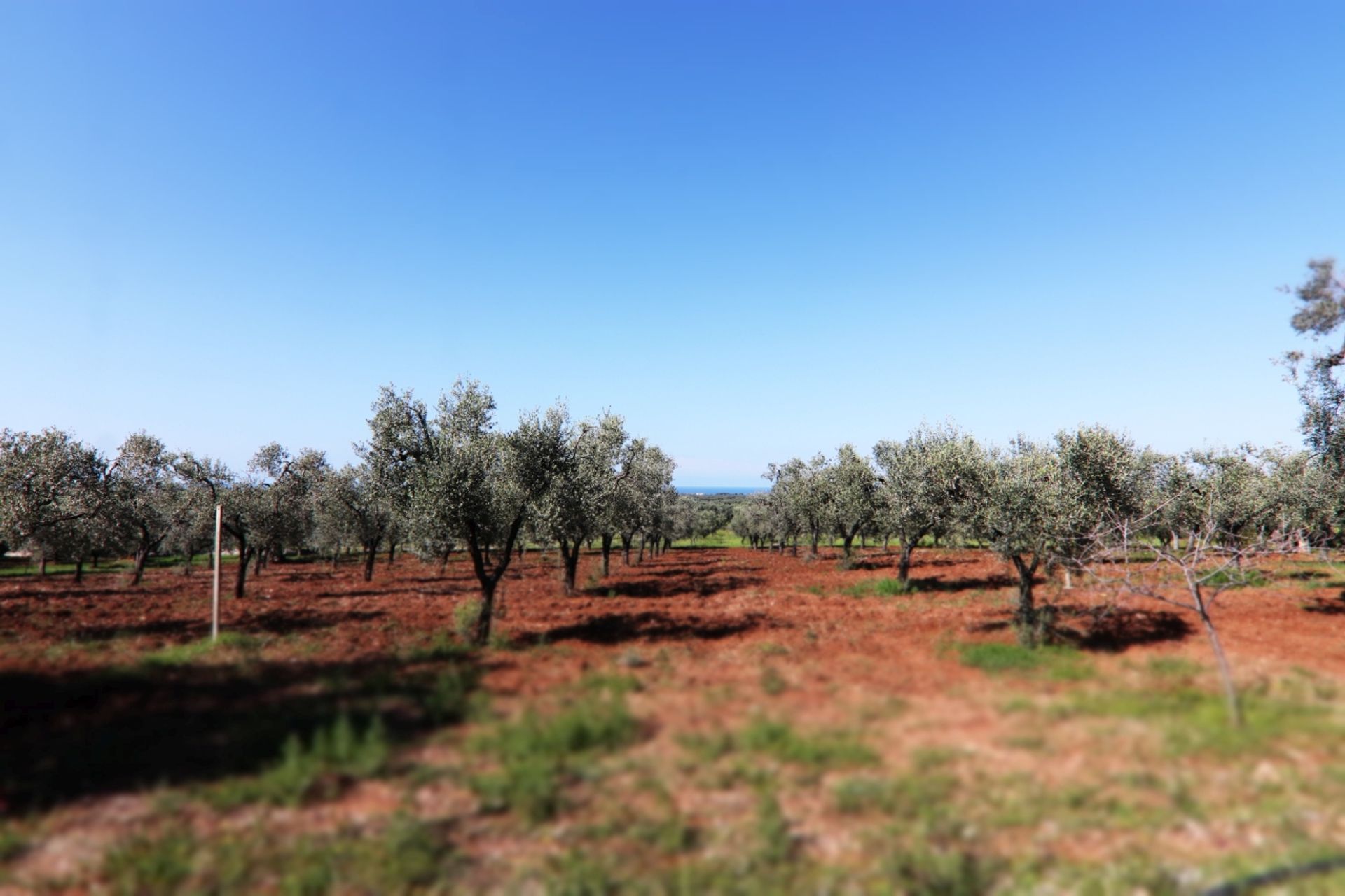 Tanah di , Puglia 12077075