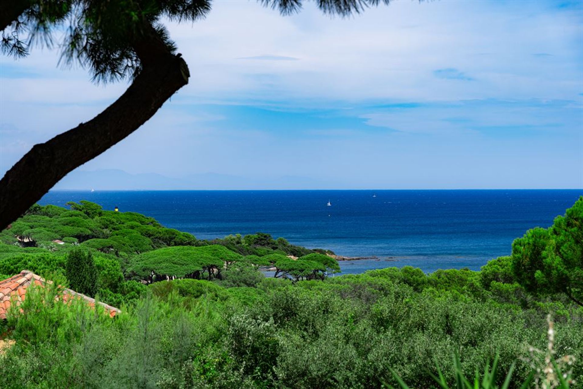 Haus im Saint Tropez, Provence-Alpes-Côte d'Azur 12080026