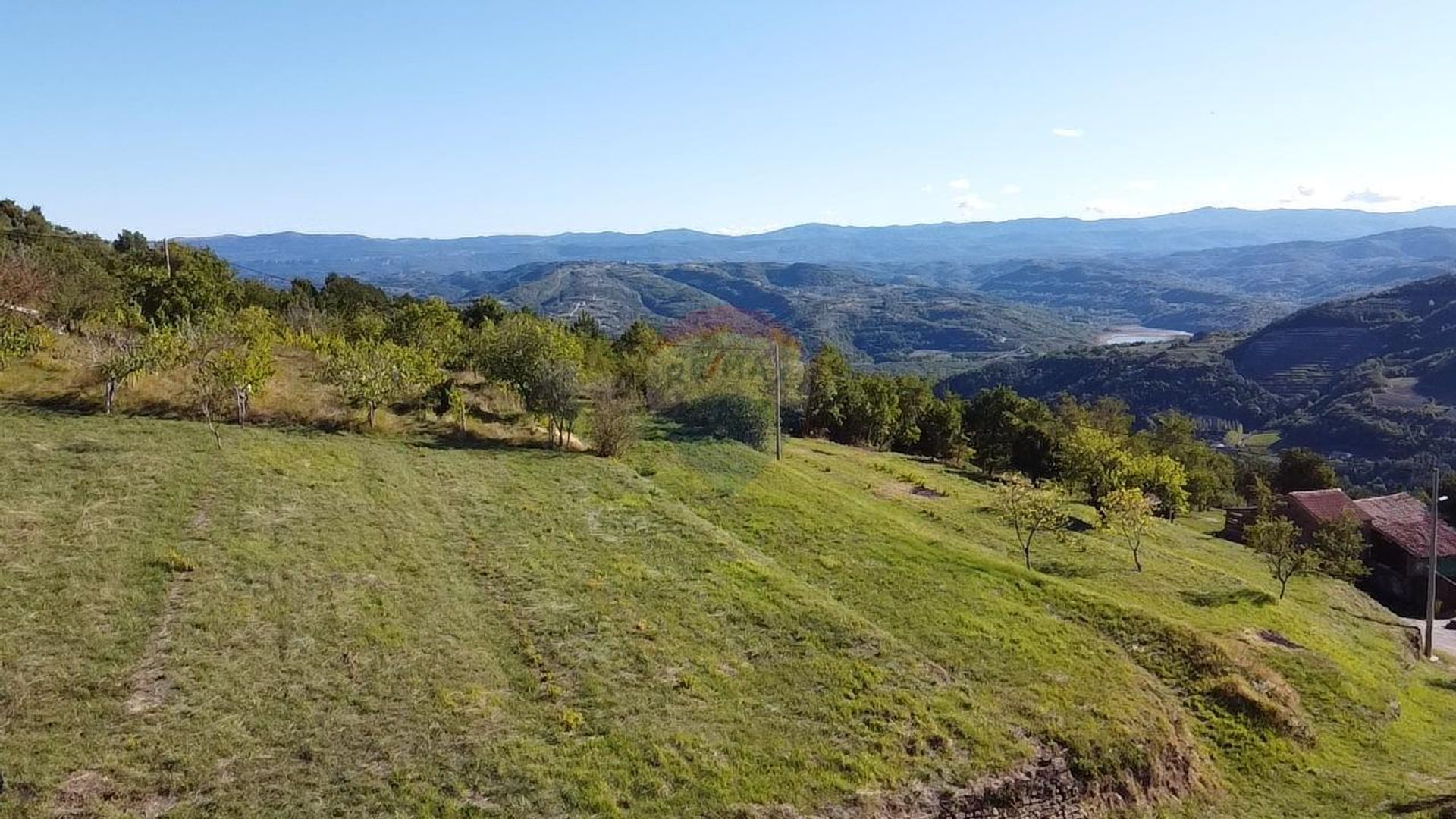 Terre dans Motovun, Istarska Zupanija 12081639