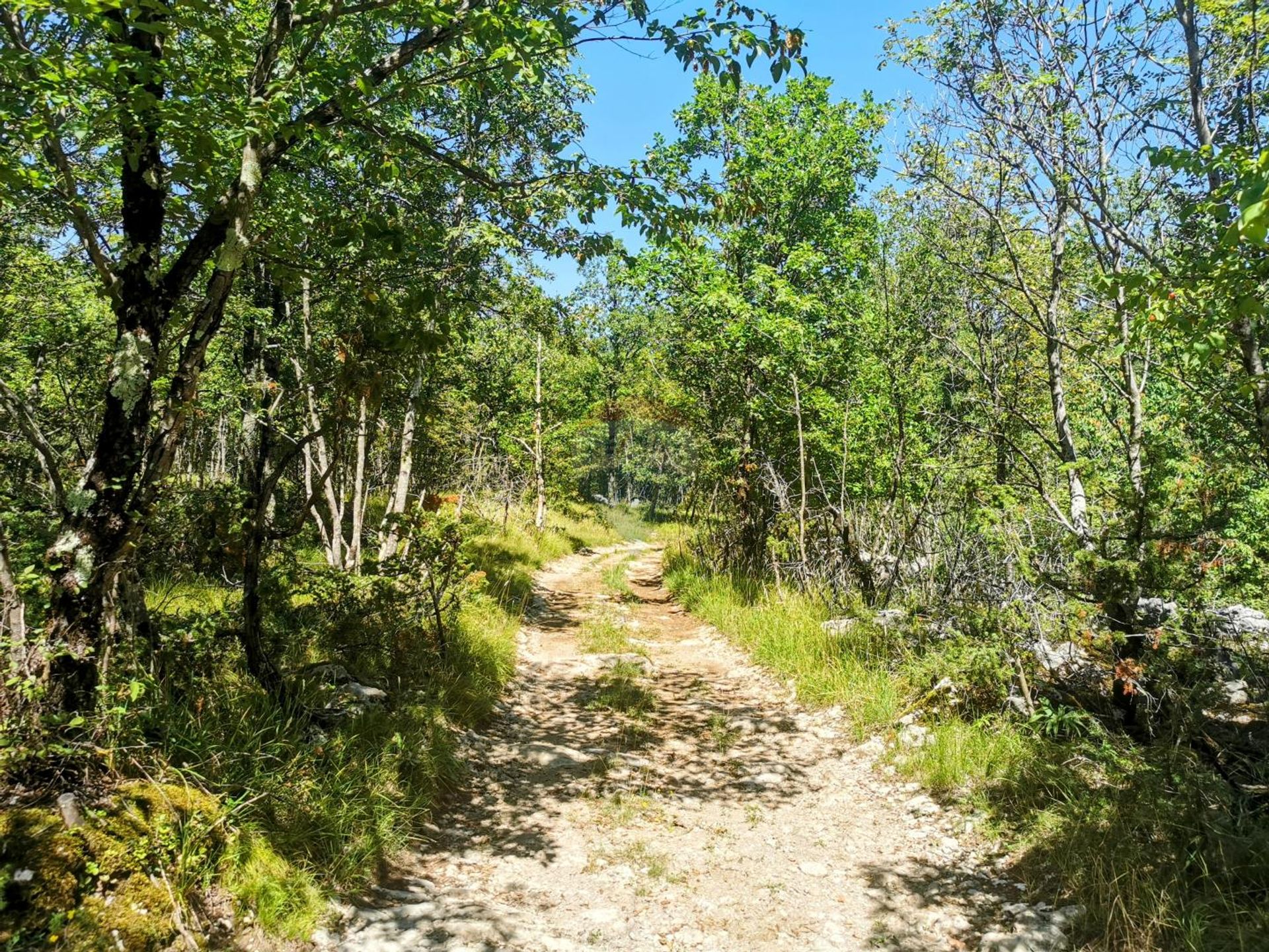 भूमि में Lipa, Primorsko-goranska županija 12081651