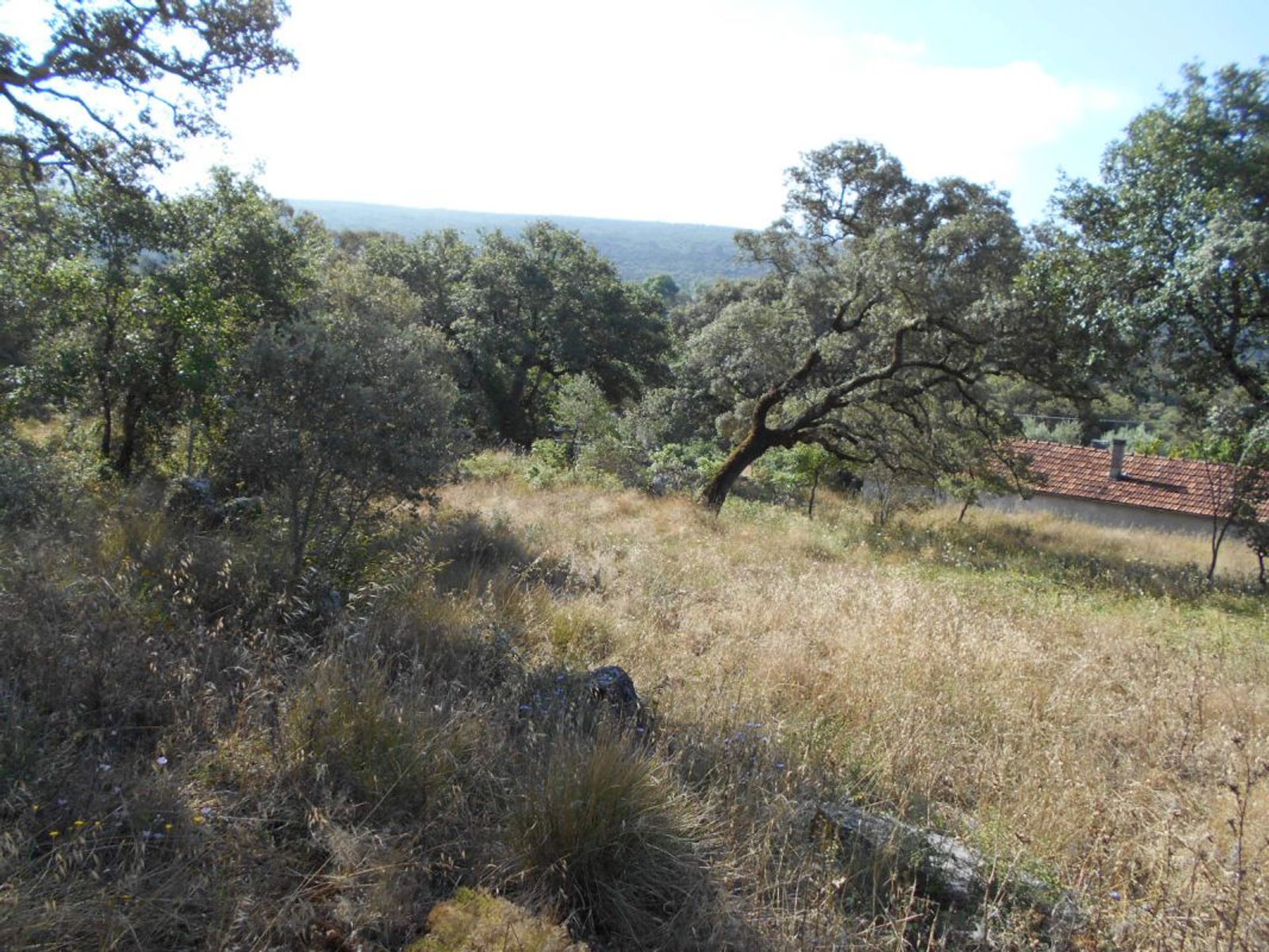 σπίτι σε Alvaiázere, Leiria 12082149