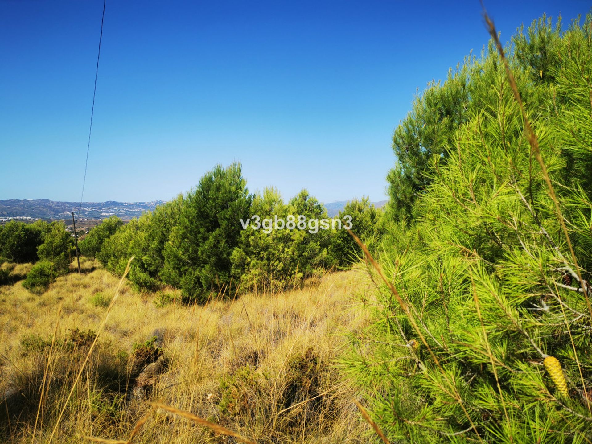 Terra no Mijas, Andalucía 12082912