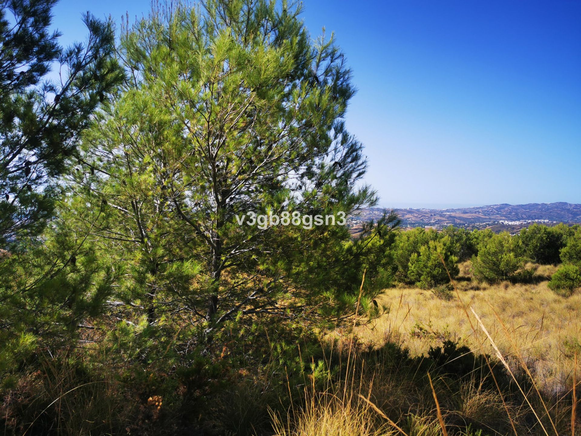 Terra no Mijas, Andalucía 12082912