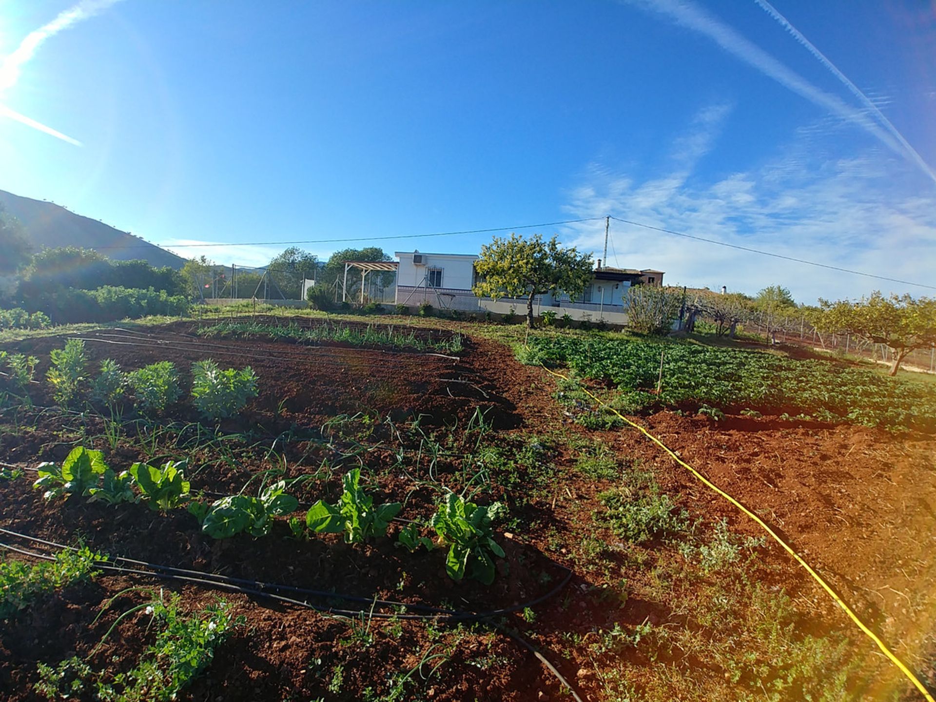 rumah dalam Mijas, Andalusia 12083083