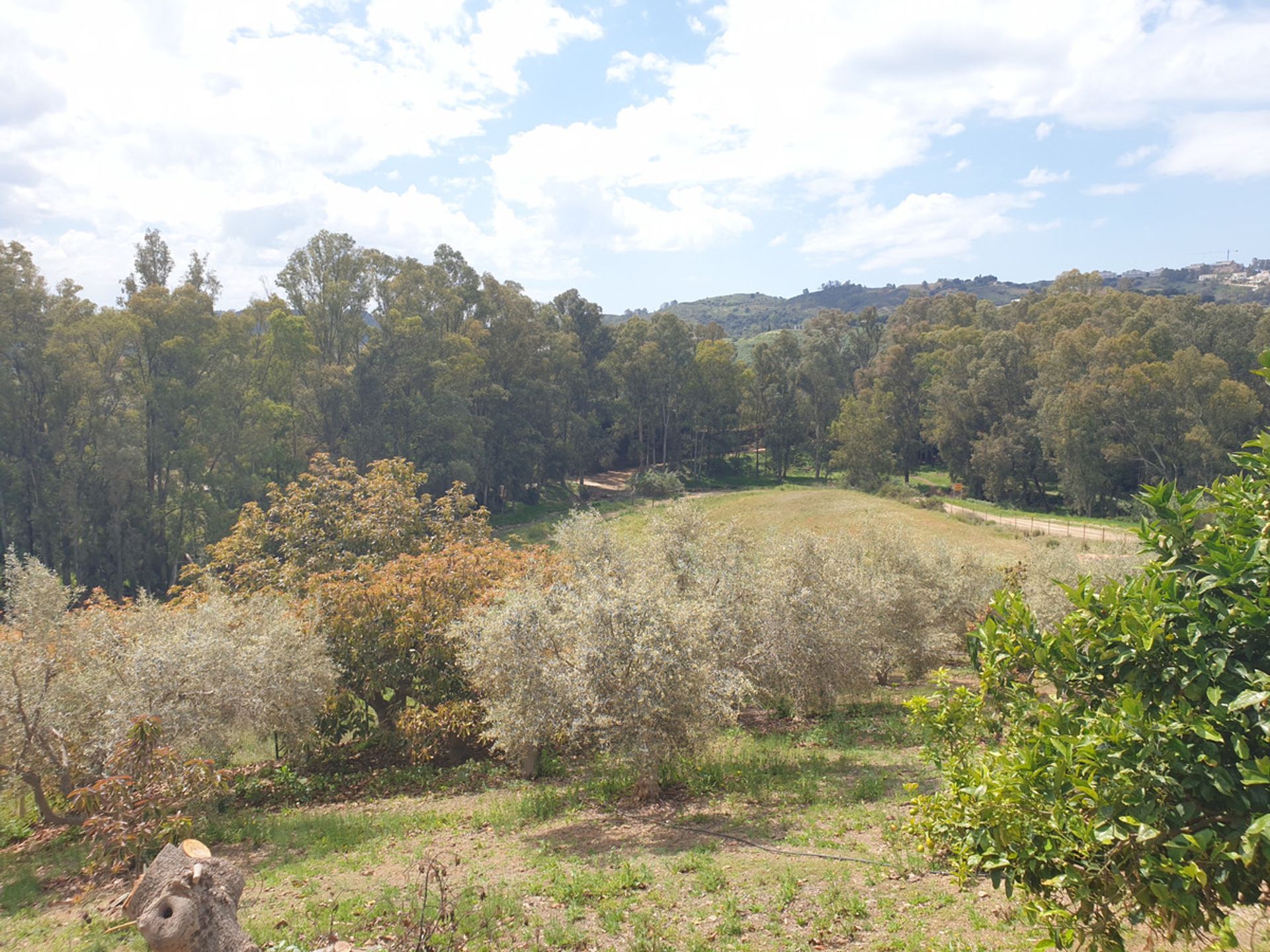 Hus i Entrerríos, Extremadura 12083085