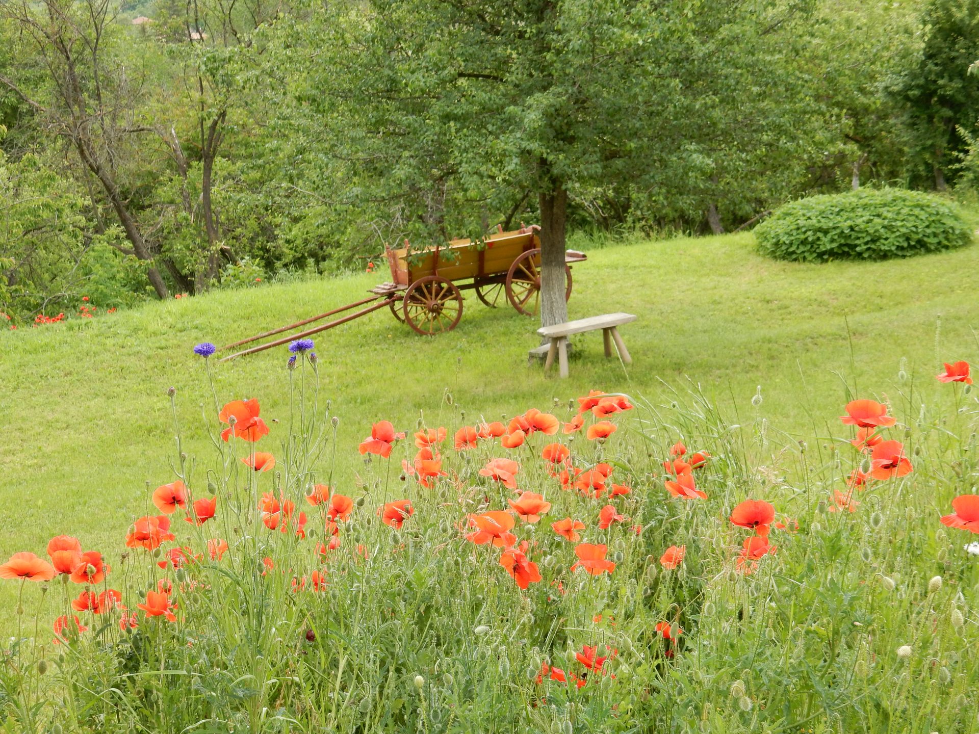 Casa nel Balkanski, Razgrad 12084105