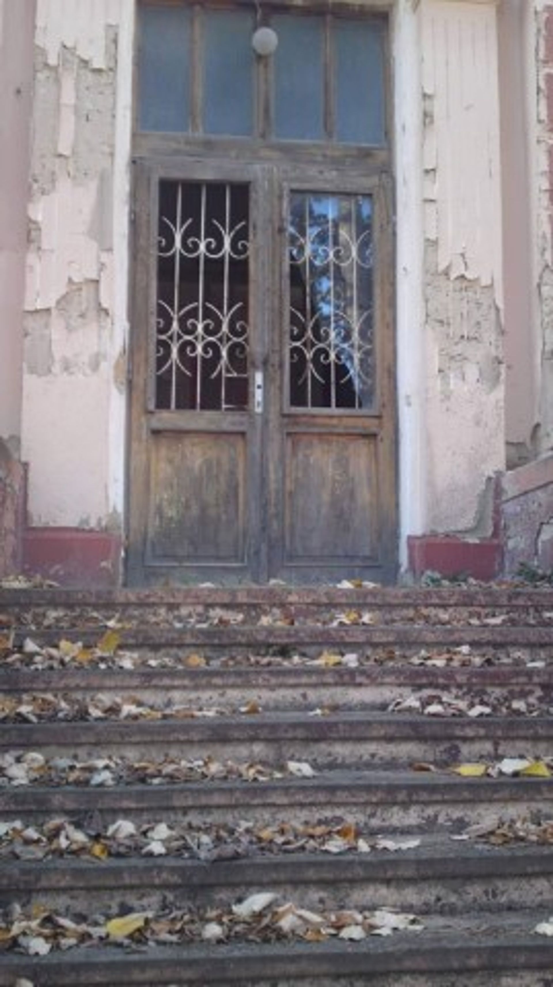 House in Chepintsi, ulitsa "Dolets" 12084110