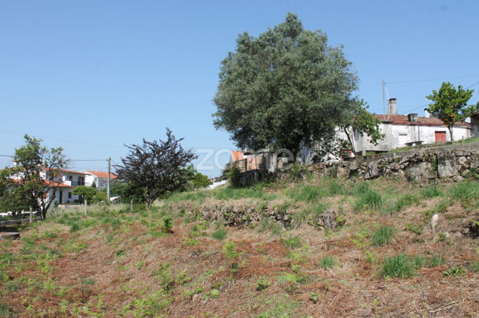 House in Viana do Castelo, Viana do Castelo 12088535