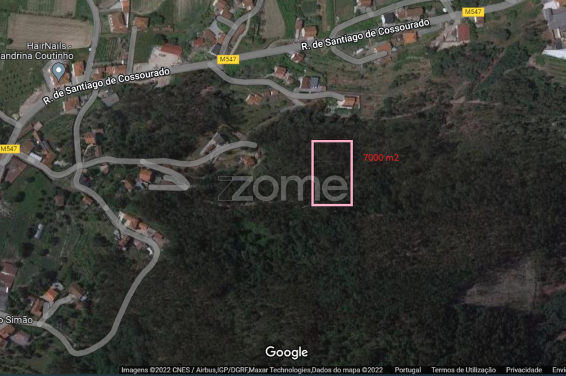 Land im Braga, Braga 12088538