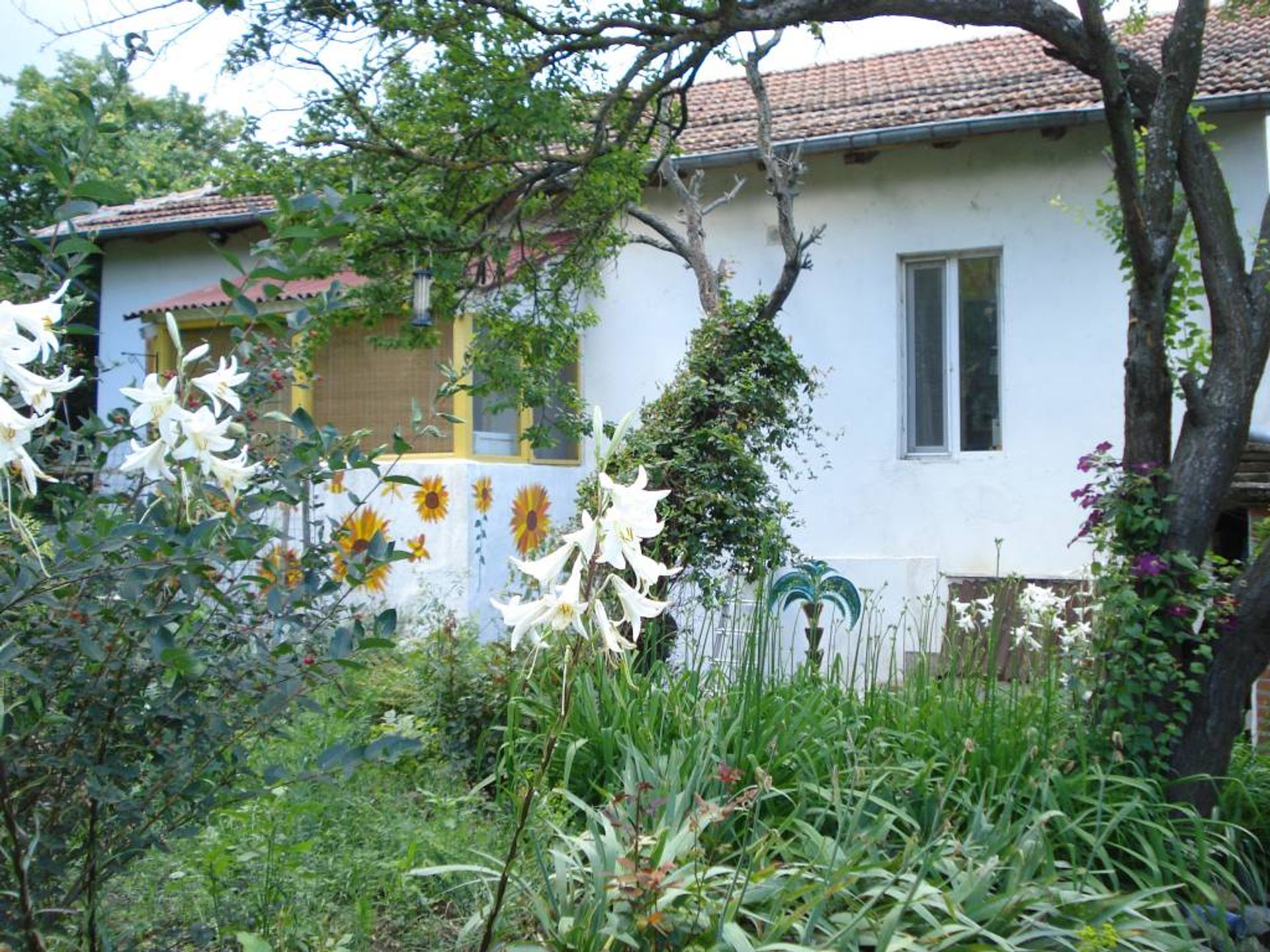 rumah dalam Malomirovo, Jambol 12088542