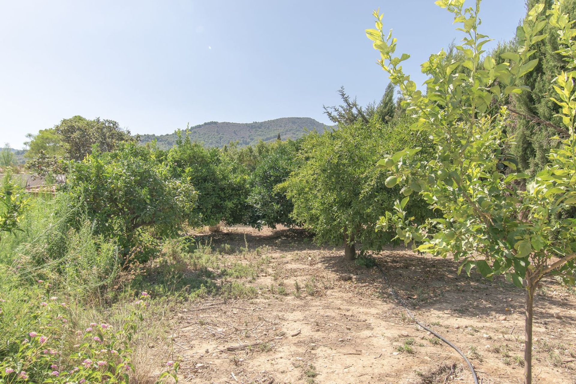 casa en Alhaurín de la Torre, Andalucía 12090354