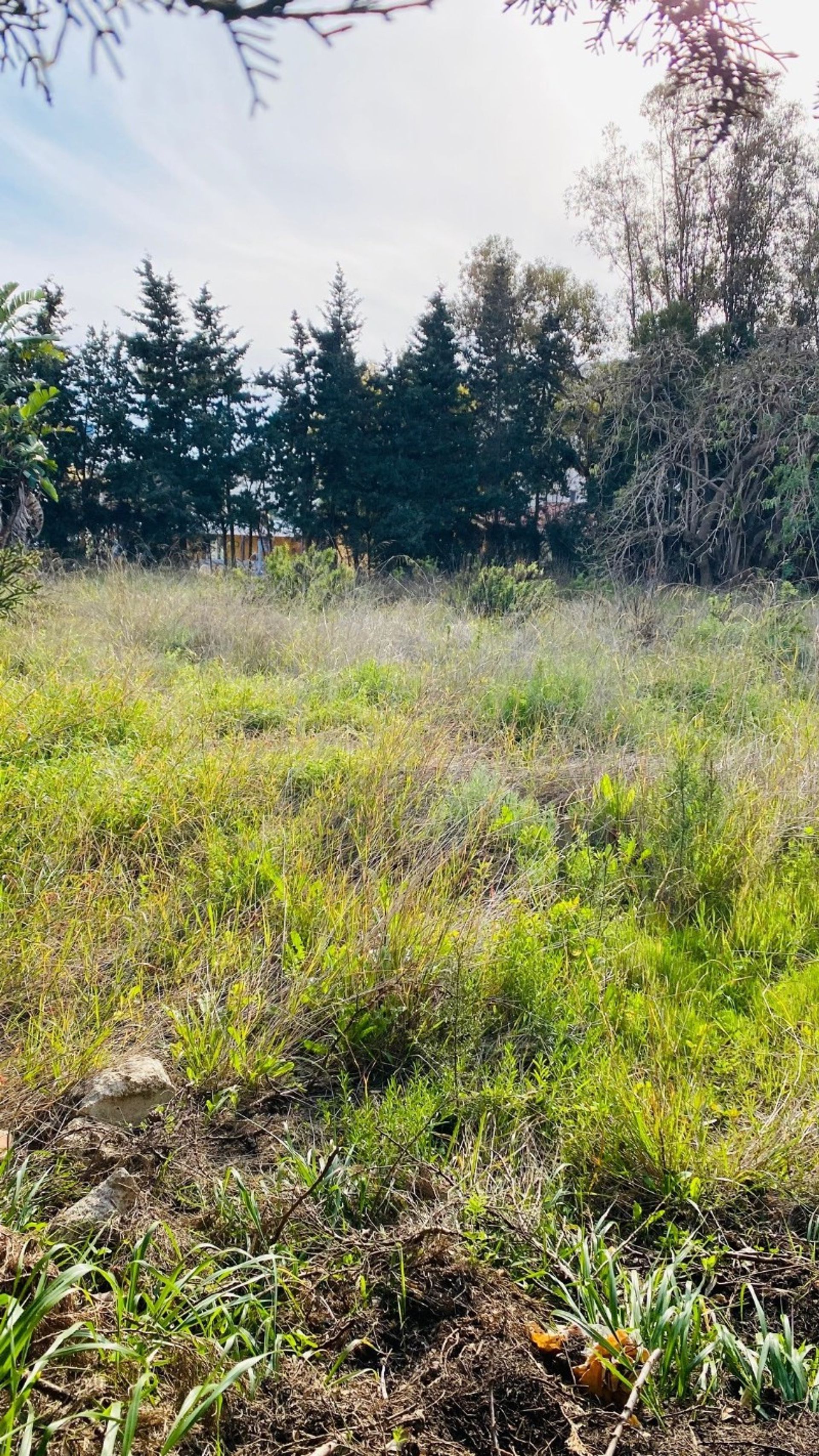 Tierra en San Pedro Alcántara, Andalucía 12090482