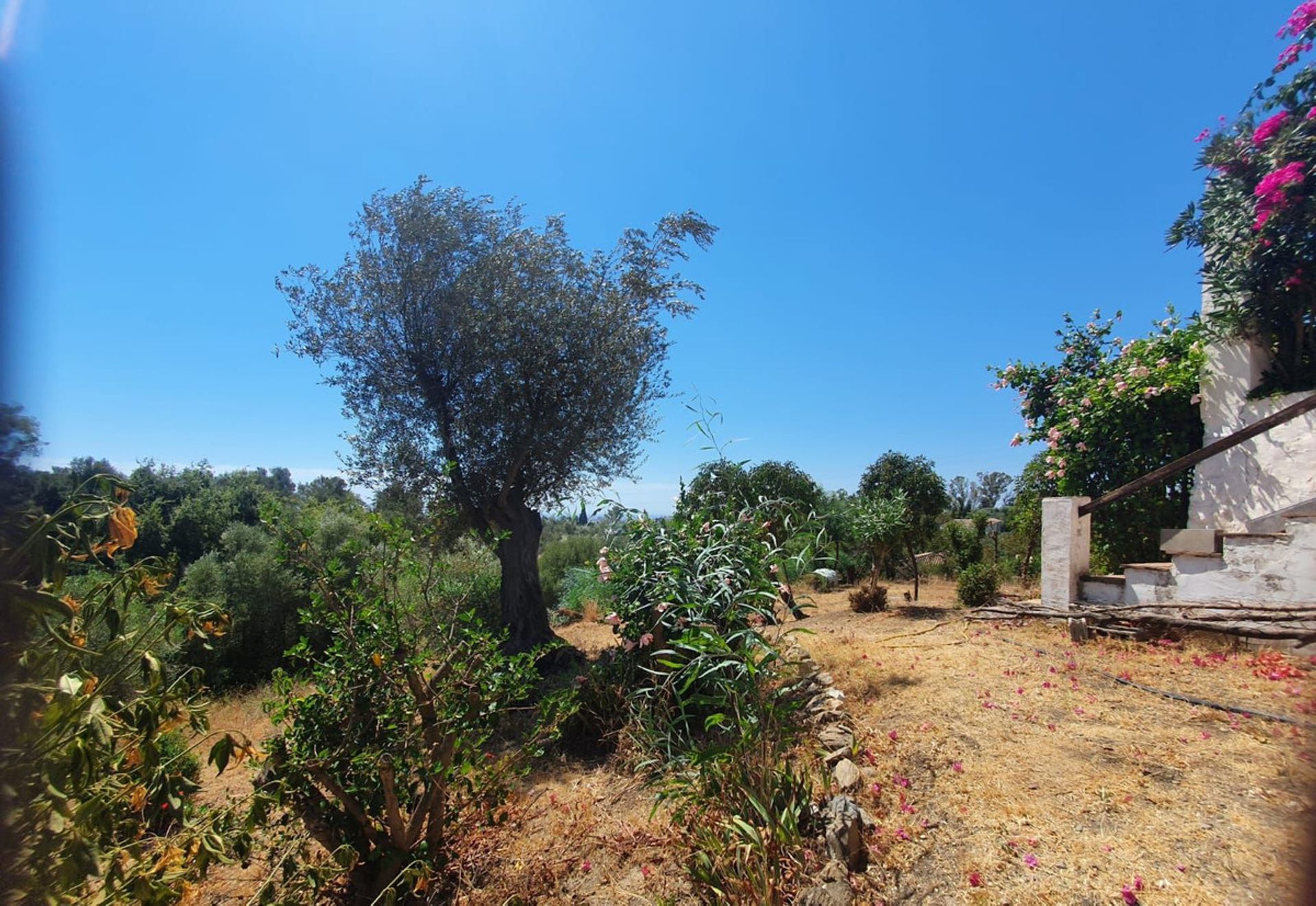 casa no Mijas, Andalusia 12090596