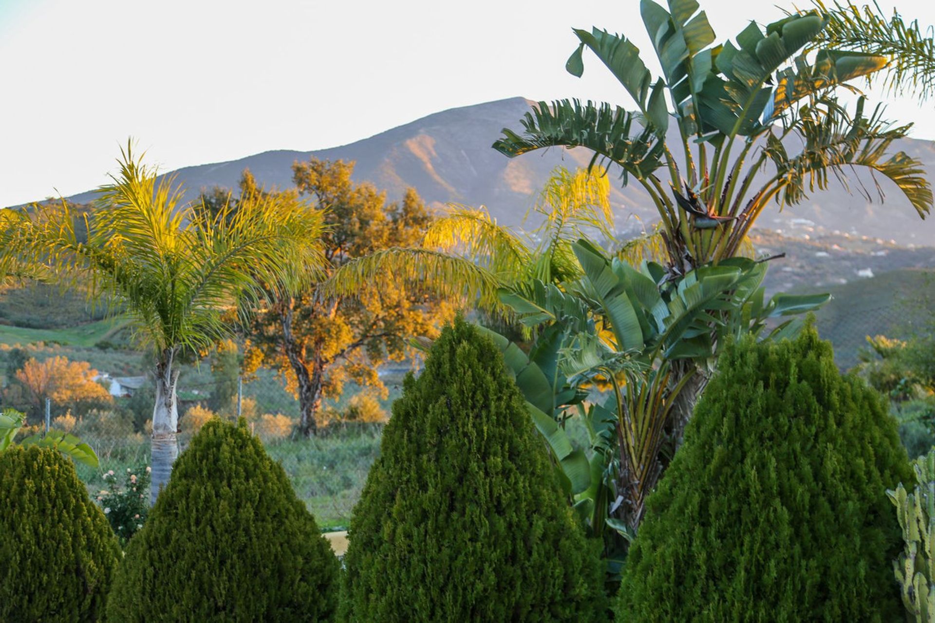 Casa nel Mijas, Andalucía 12090605