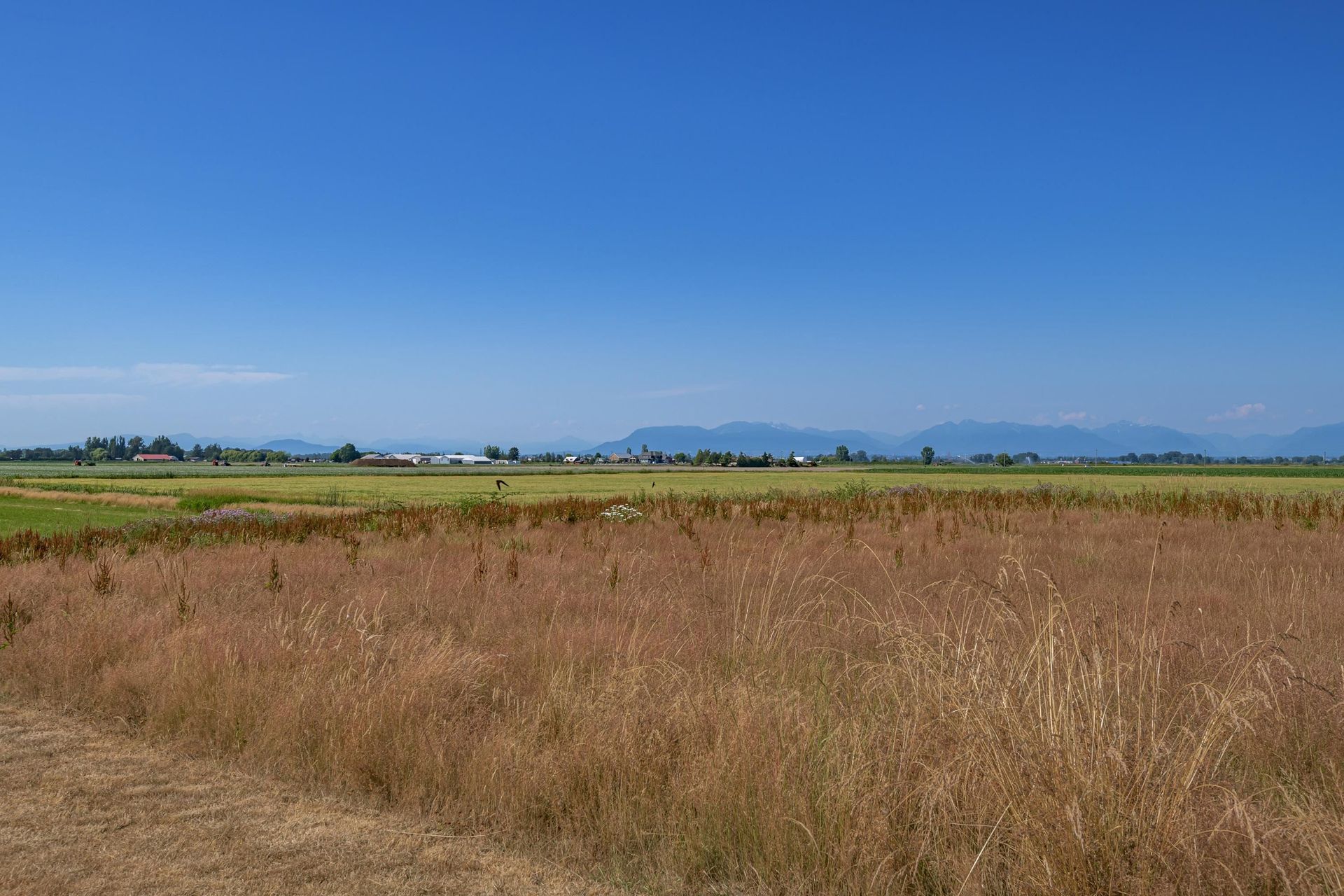 Lain di Delta, British Columbia 12090989