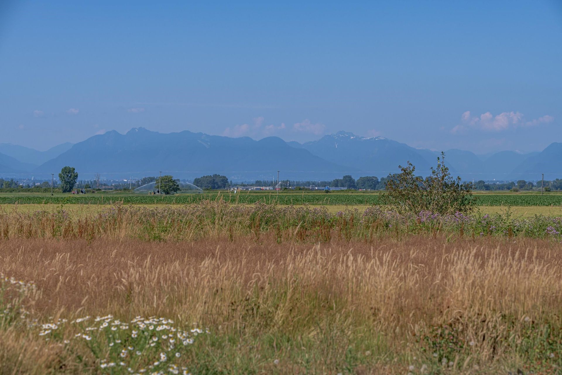 Andet i Delta, British Columbia 12090989