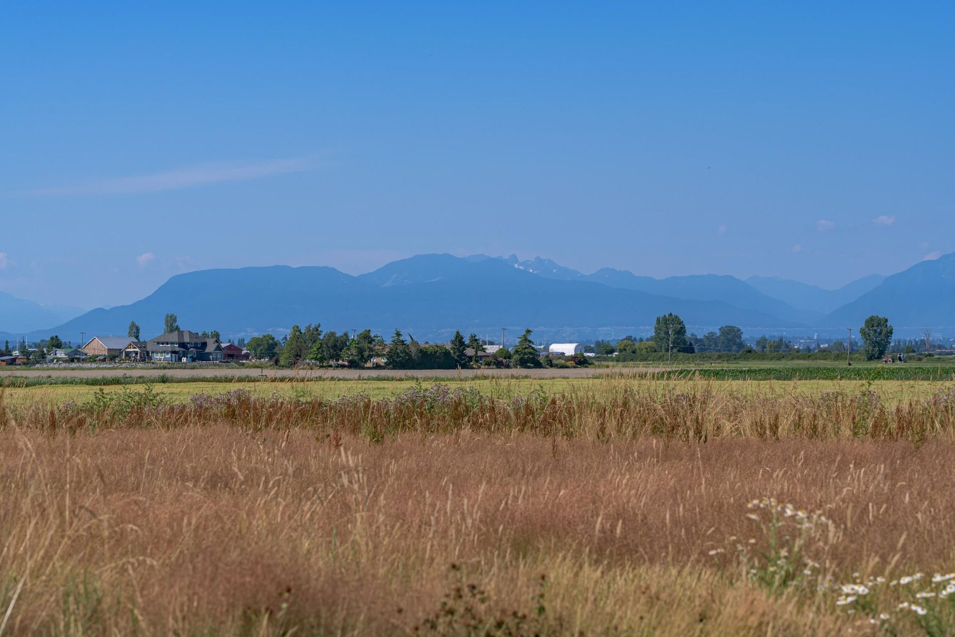 Andet i Delta, British Columbia 12090989