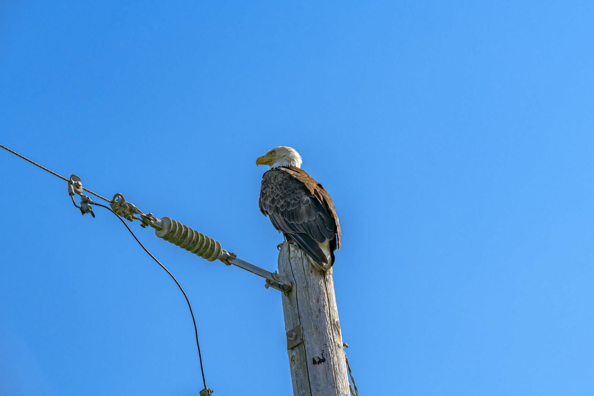 Lain di Delta, British Columbia 12090989