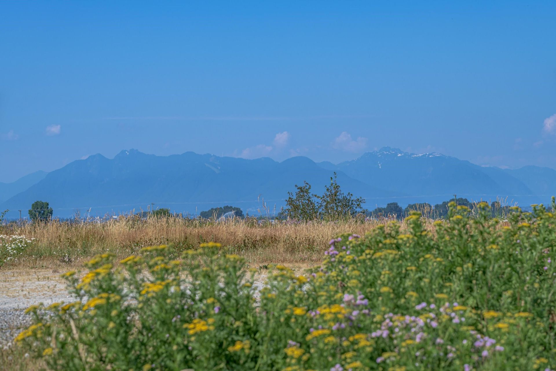 Andet i Delta, British Columbia 12090989