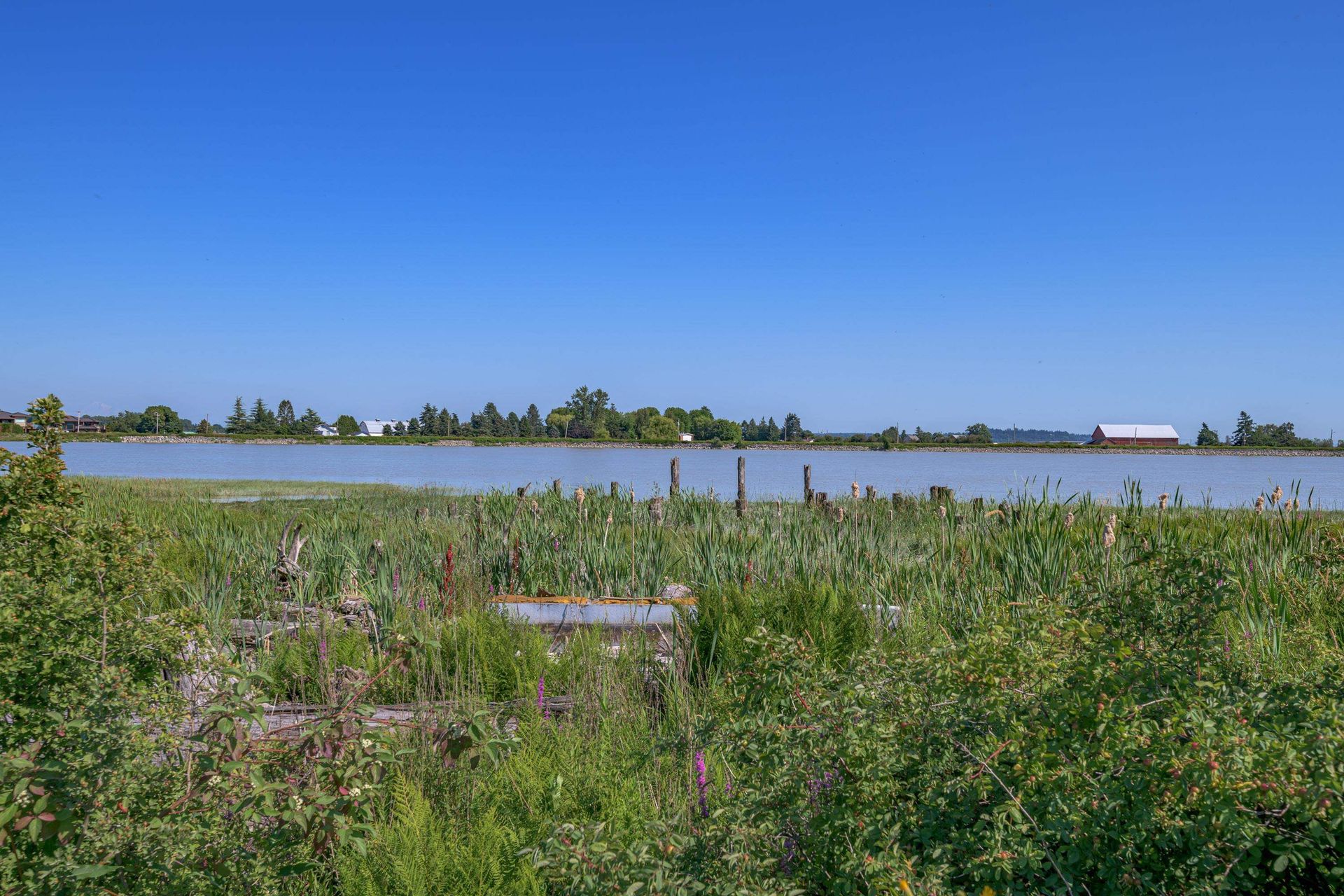 Otro en Delta, British Columbia 12090989