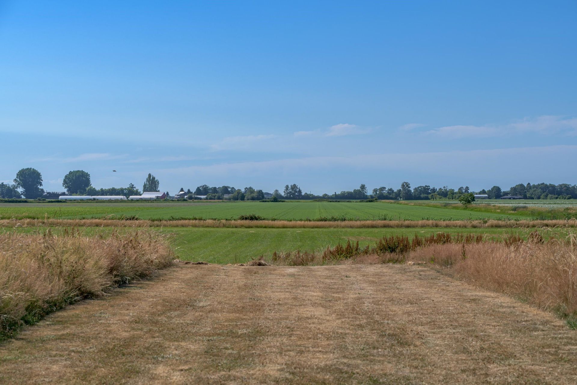 其他 在 Delta, British Columbia 12090989