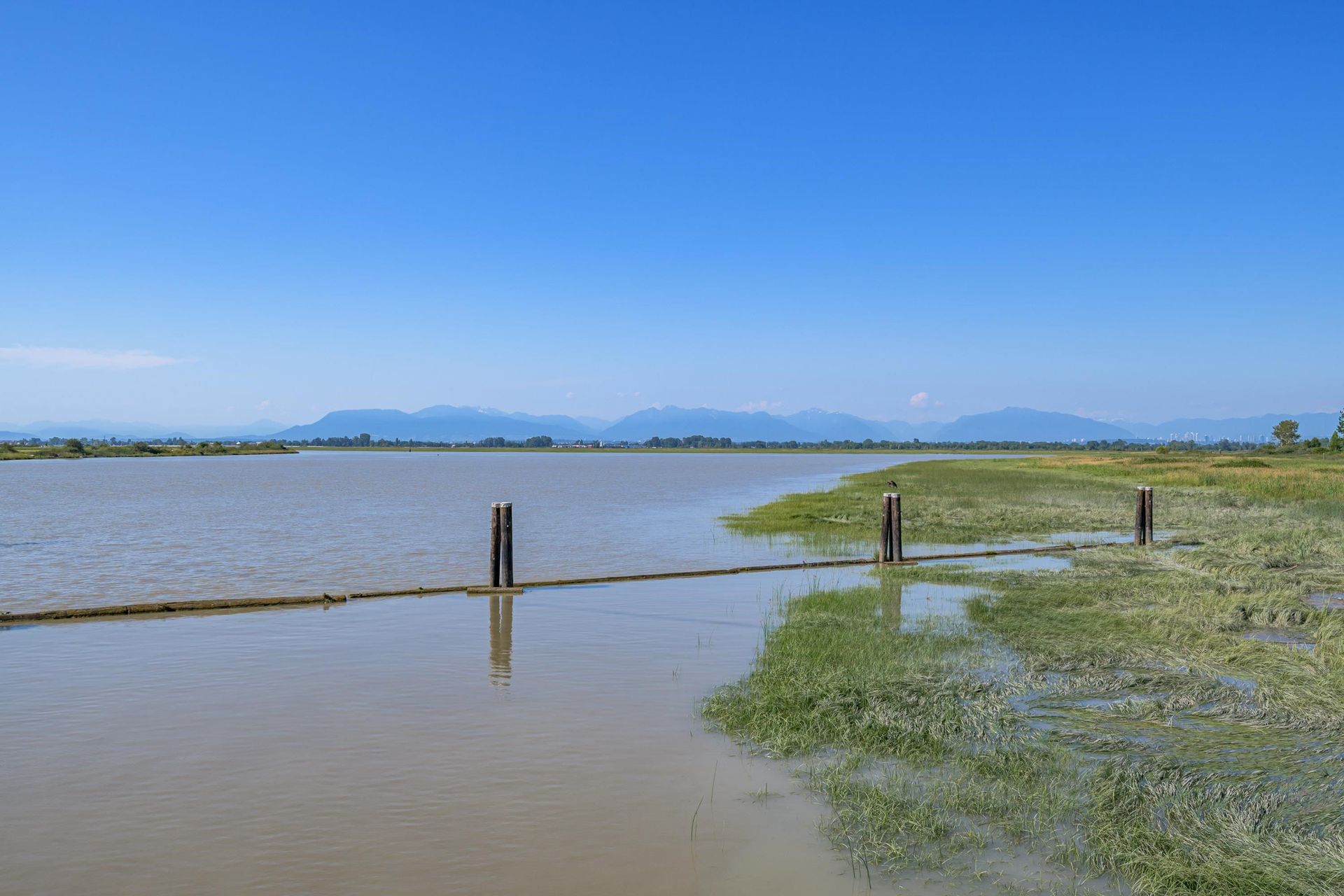 Lain di Delta, British Columbia 12090989