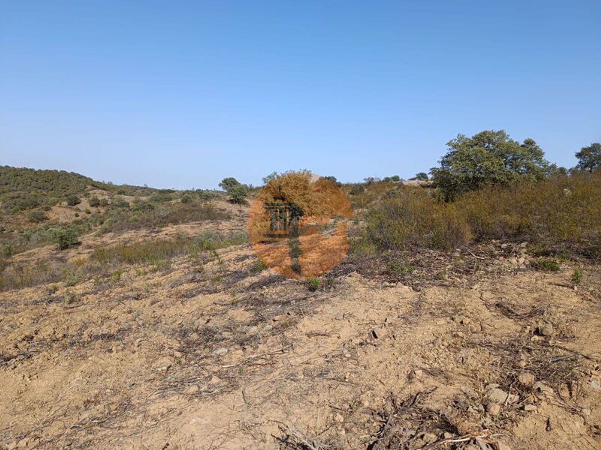 Terra no Odeleite, Faro 12091342