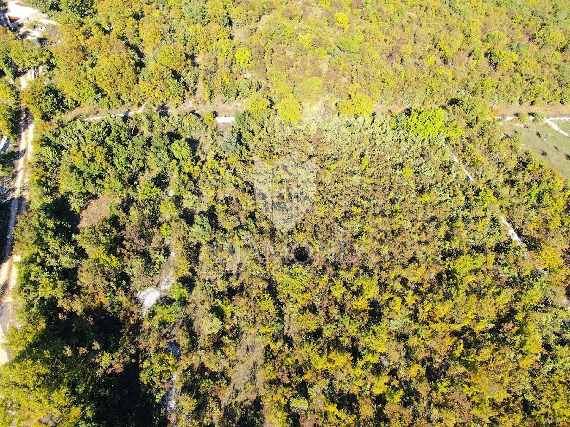 Land in Marcana, Istarska Zupanija 12091466