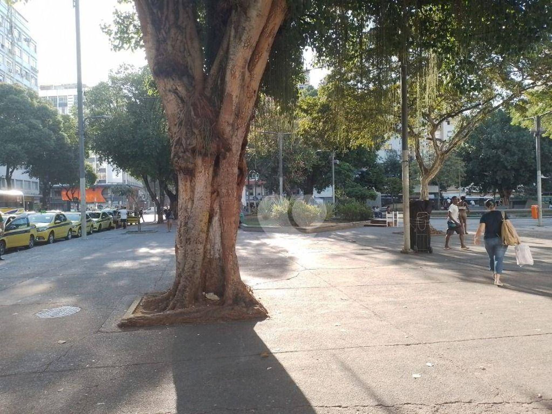 Роздрібна торгівля в , Rio de Janeiro 12091715