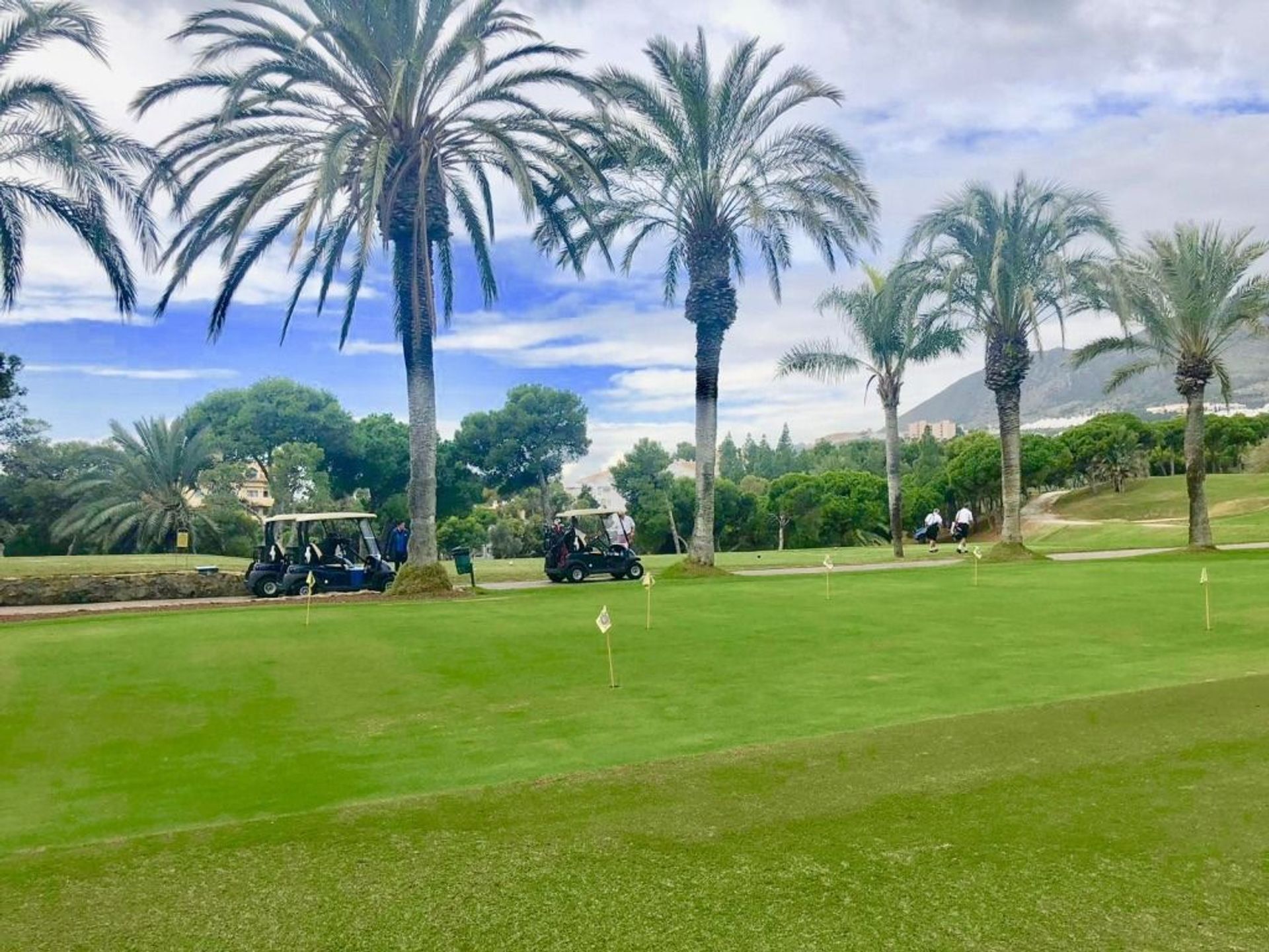 rumah dalam Benalmádena, Andalucía 12092580