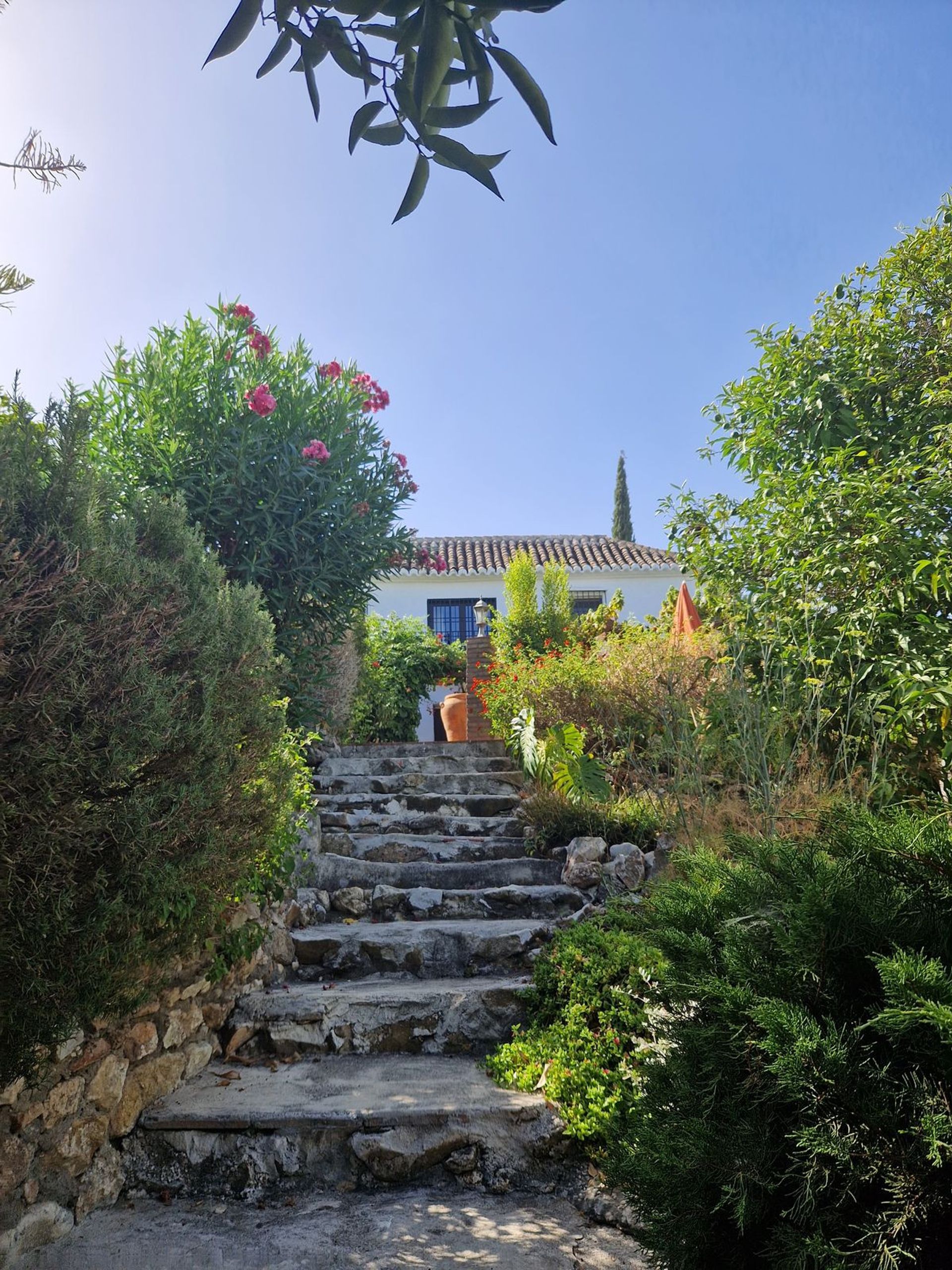 House in Alhaurín el Grande, Andalucía 12093266