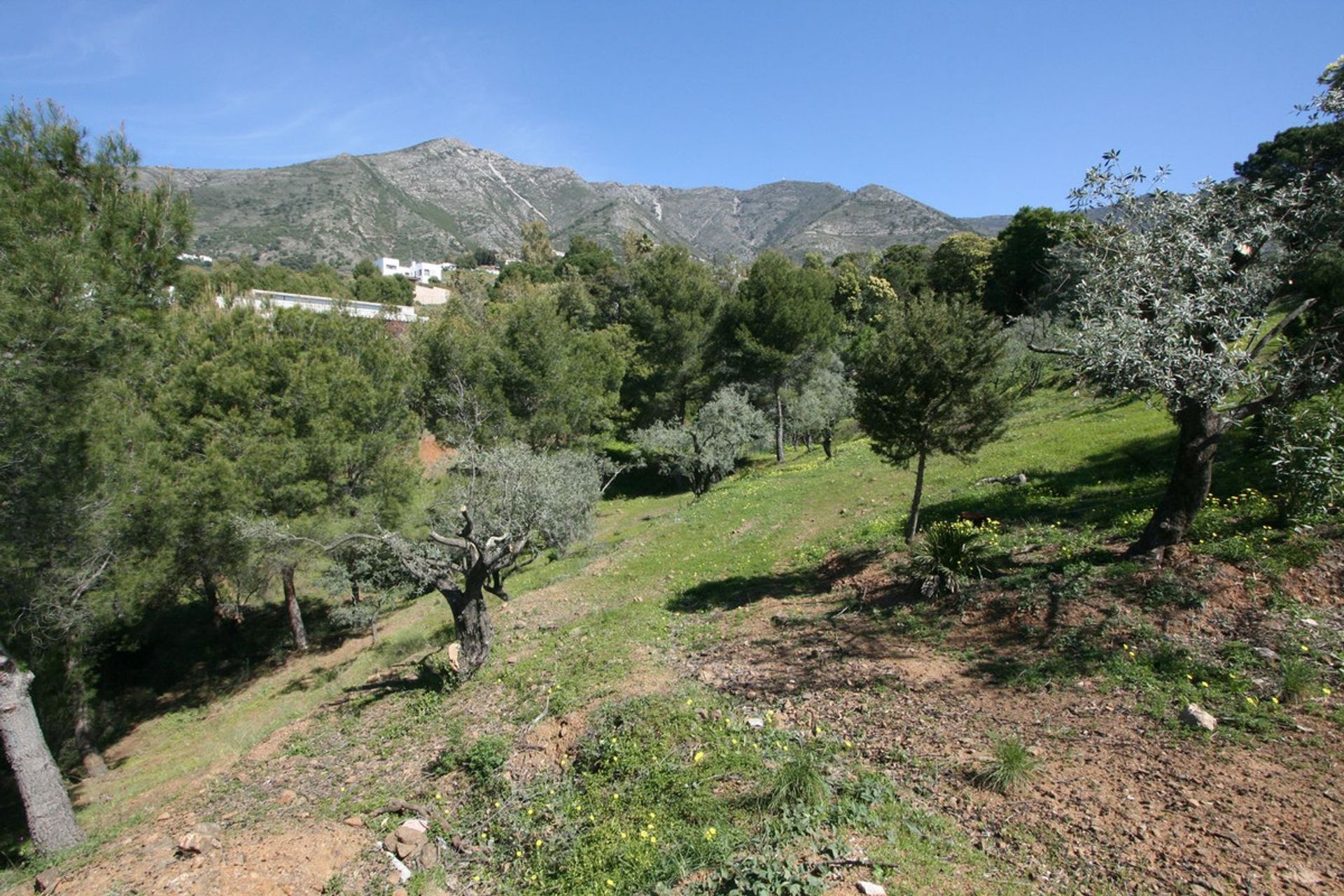 Tierra en Valtocado, Andalusia 12093623