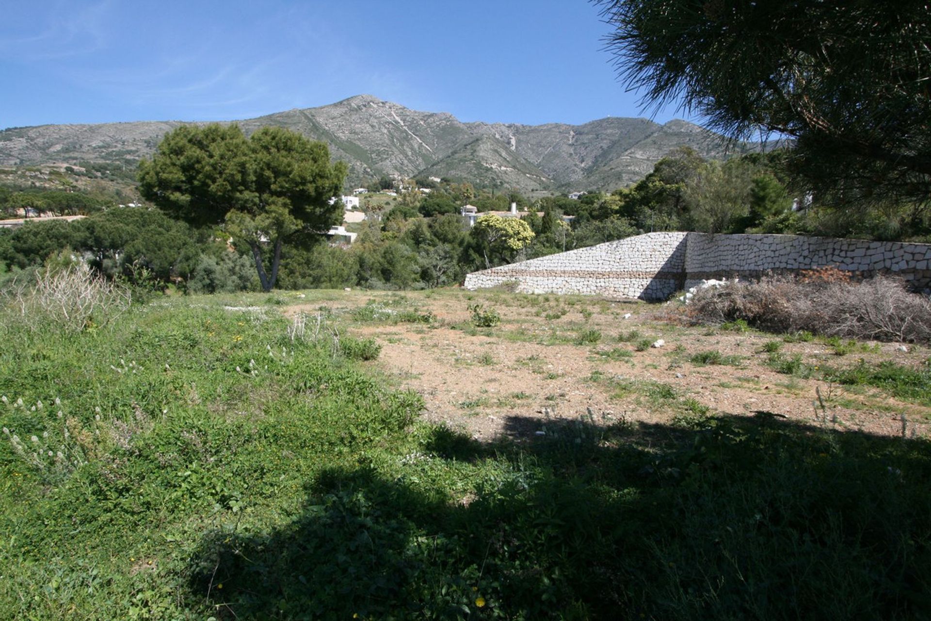 Terra no Alhaurín el Grande, Andaluzia 12093623