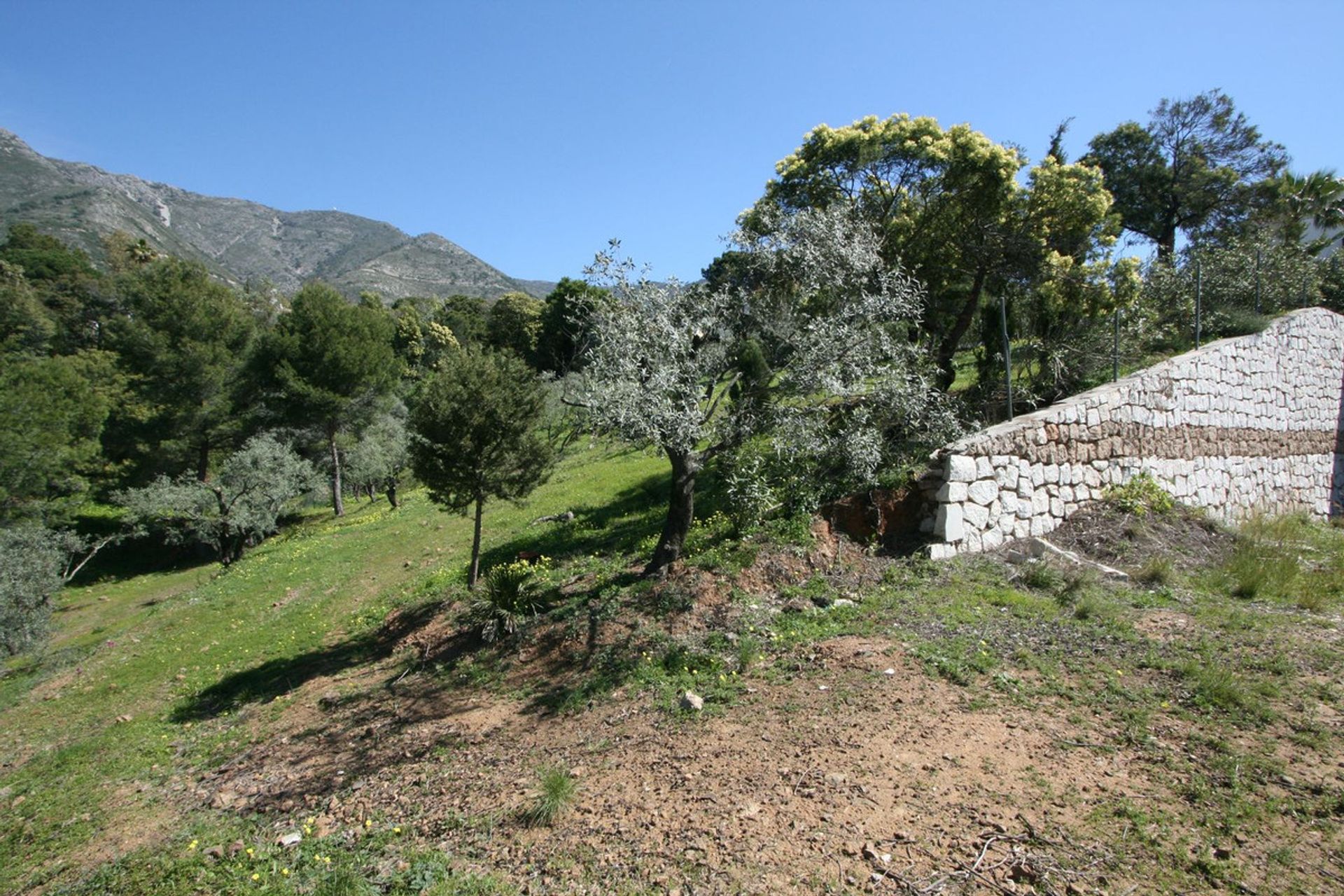 Terra no Alhaurín el Grande, Andaluzia 12093623