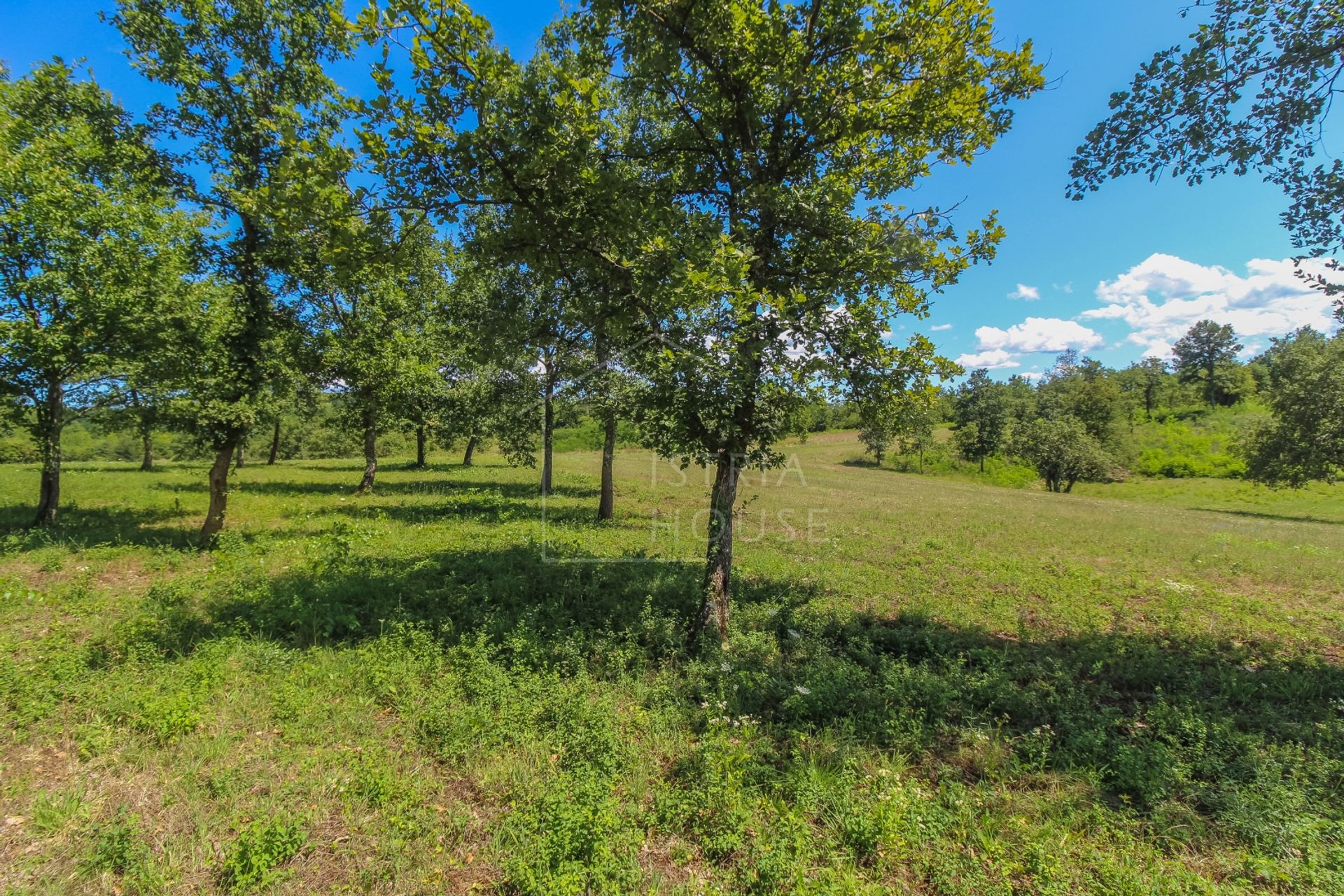 Земля в Poreč, Istria County 12096342