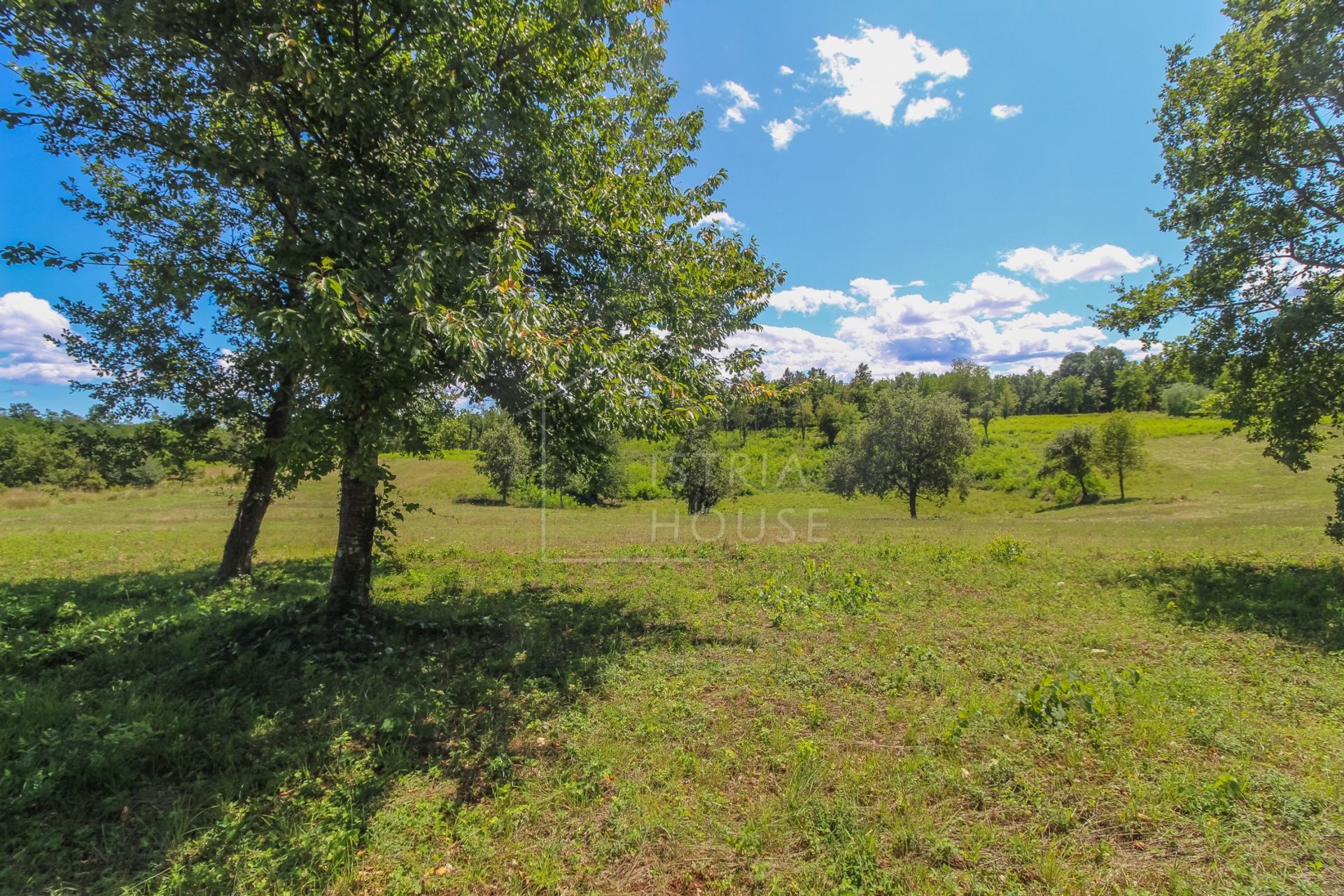 Land im Poreč, Istria County 12096342