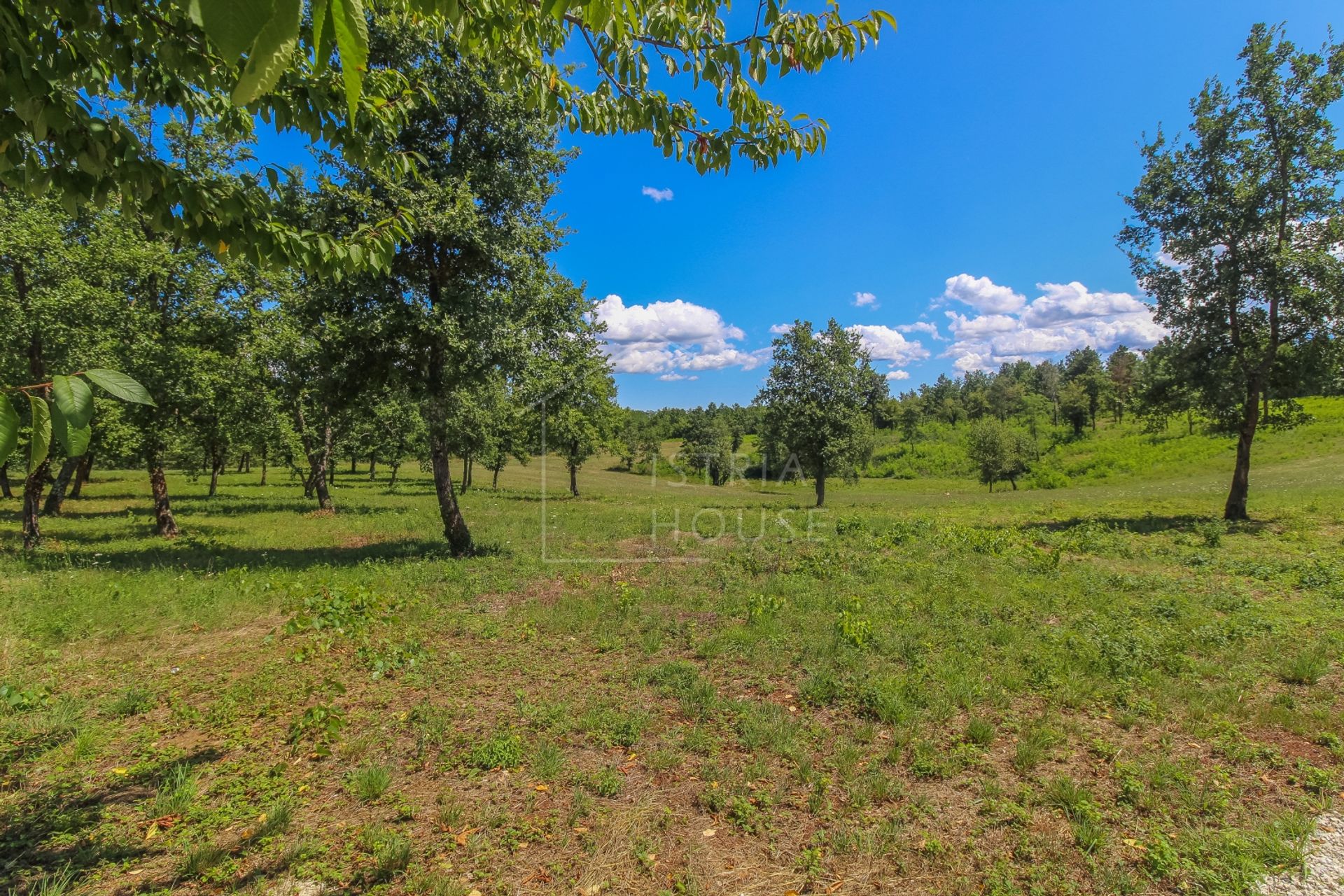 Land in Poreč, Istria County 12096342