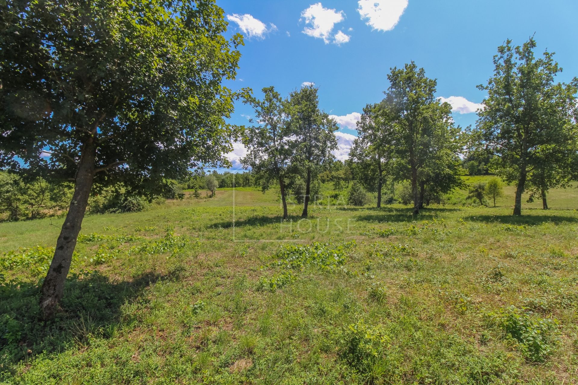 Land i Poreč, Istria County 12096342