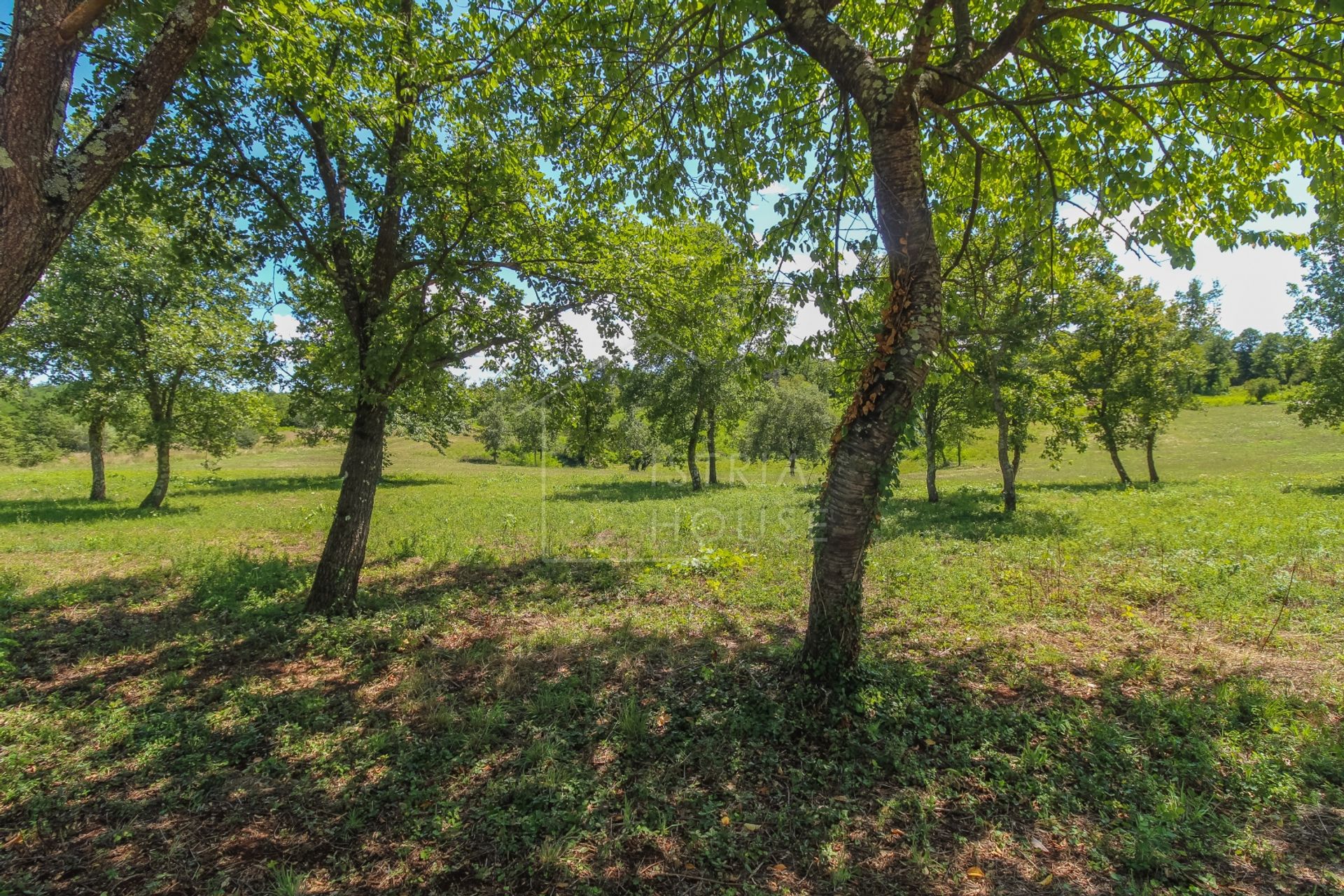 Land i Poreč, Istria County 12096342