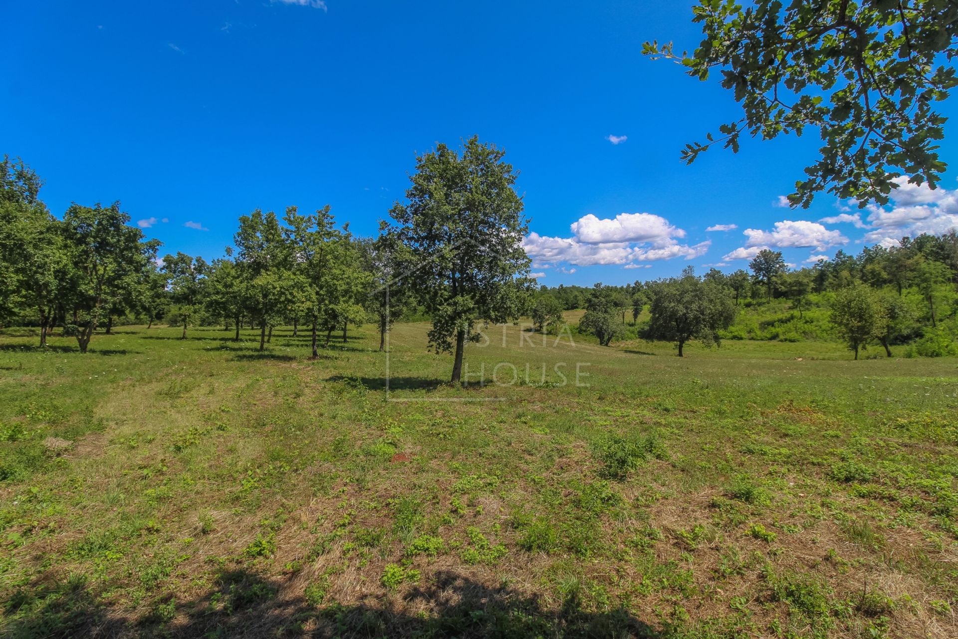 Tanah di Poreč, Istria County 12096342