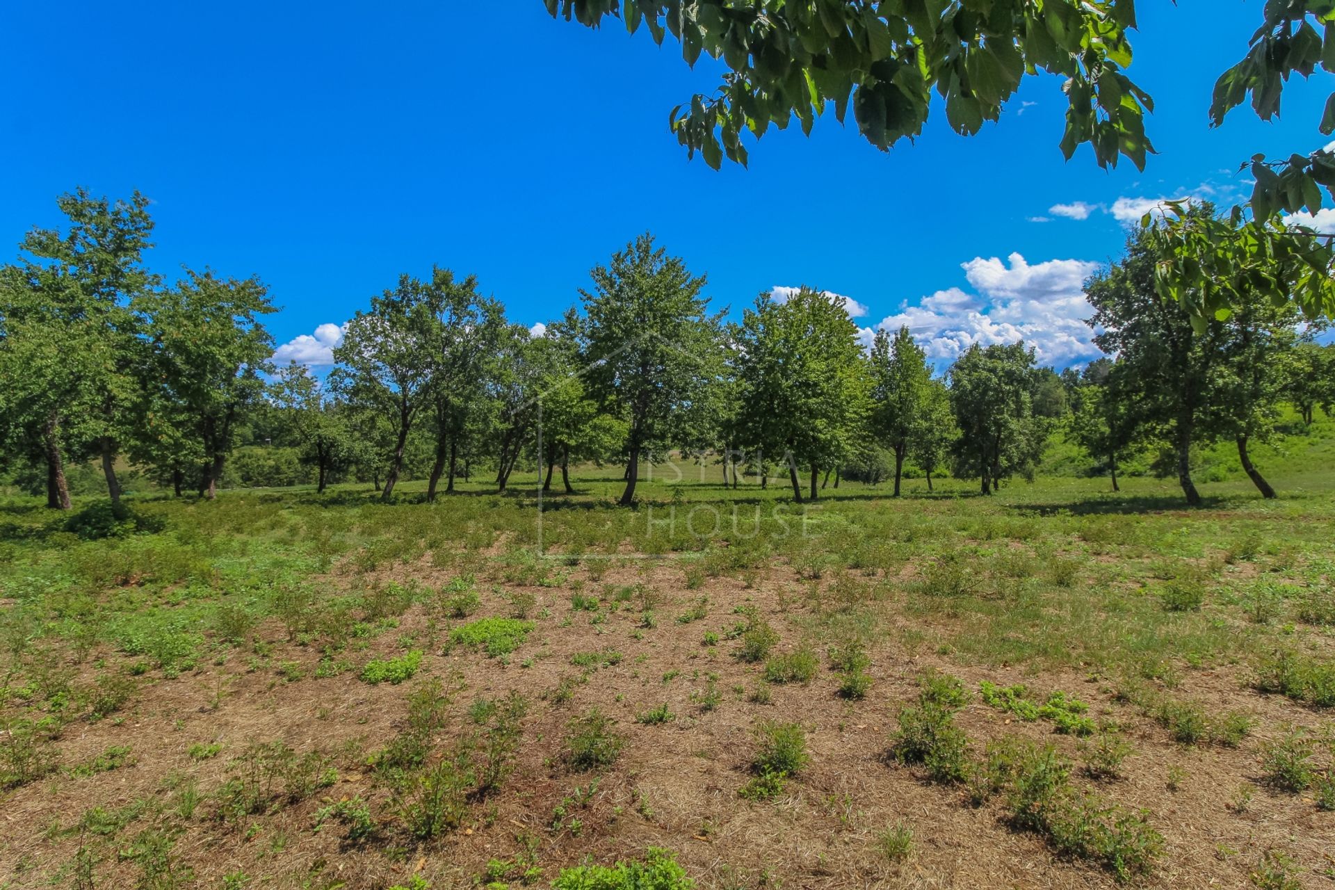 Land i Poreč, Istria County 12096344