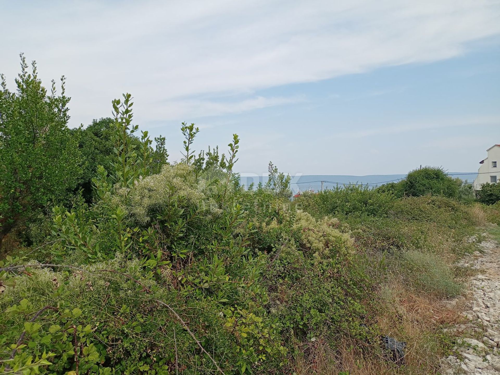 Maa sisään Banj, Zadar County 12096348